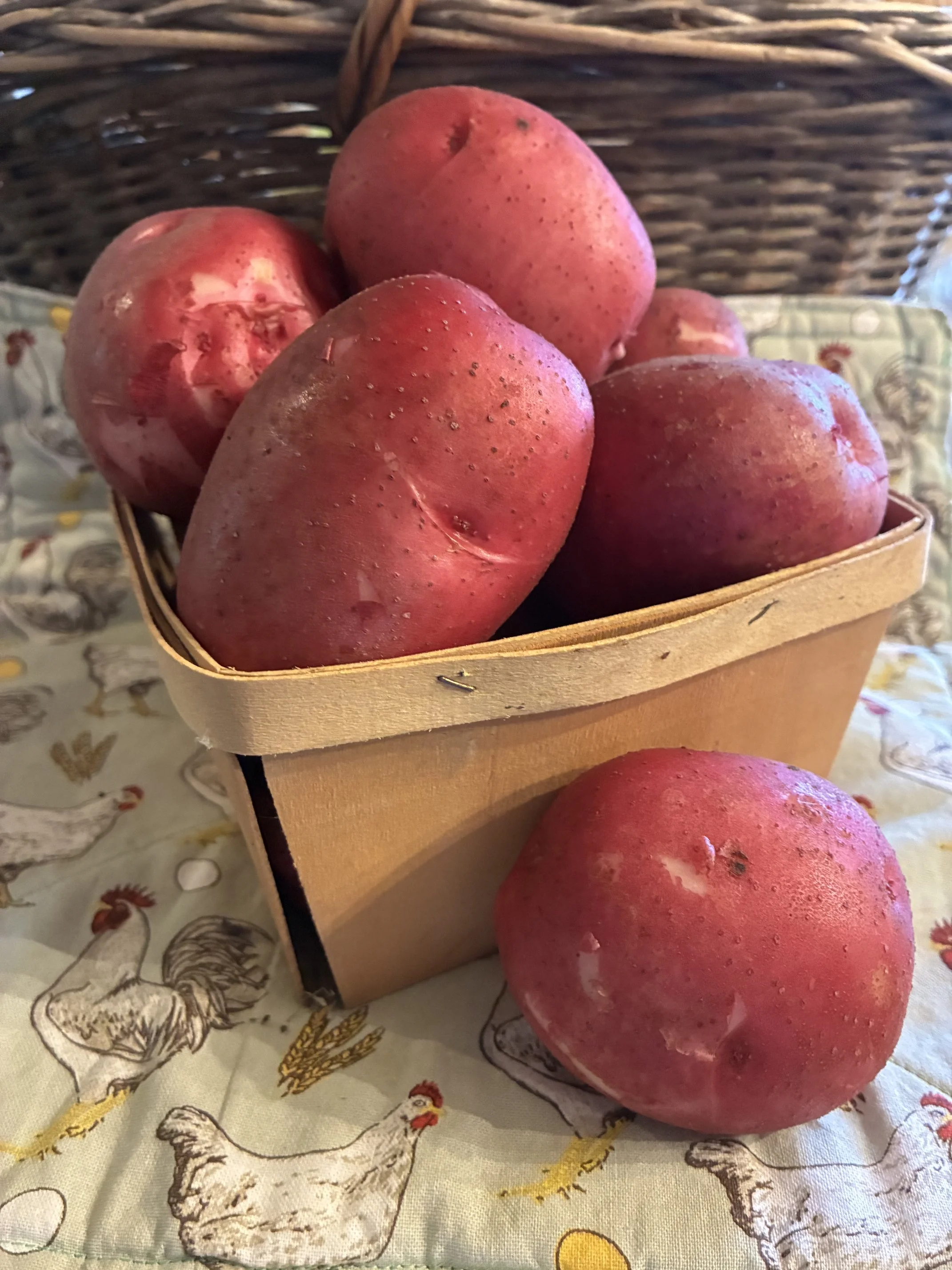 red norland potatoes 1147.jpeg