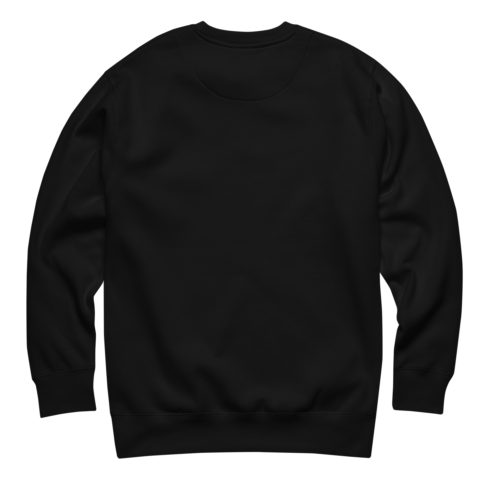 unisex-premium-sweatshirt-black-back-6a469f0e20c8f.png
