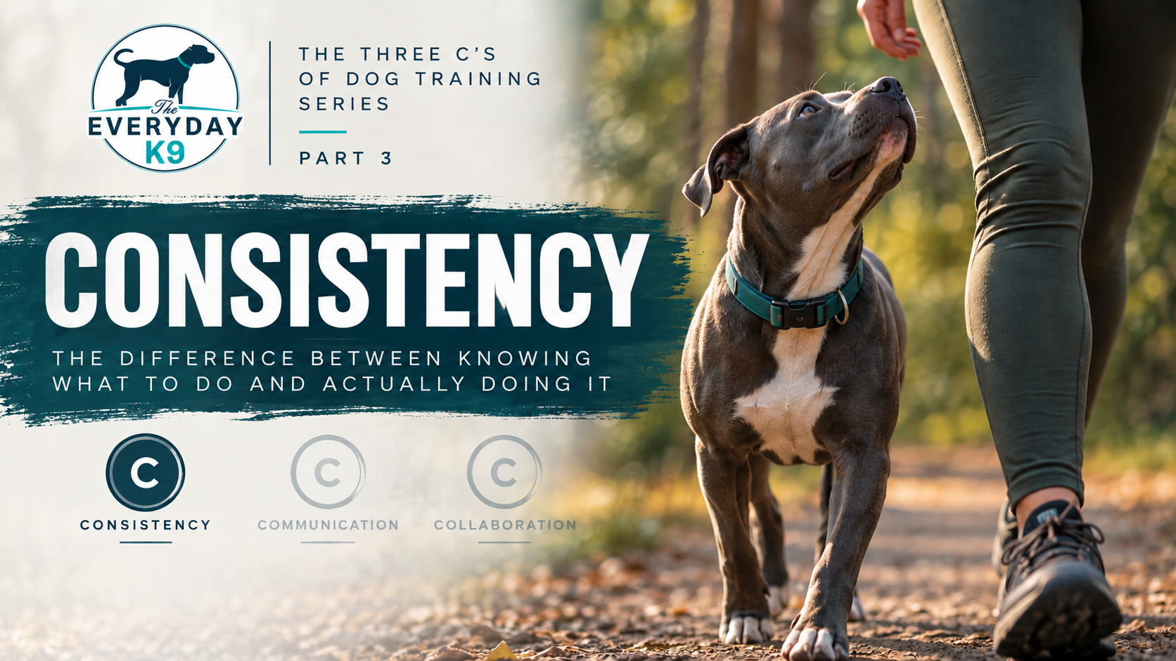 Consistency: The Difference Between Knowing What to Do and Actually Doing It (Part 3 of 5)