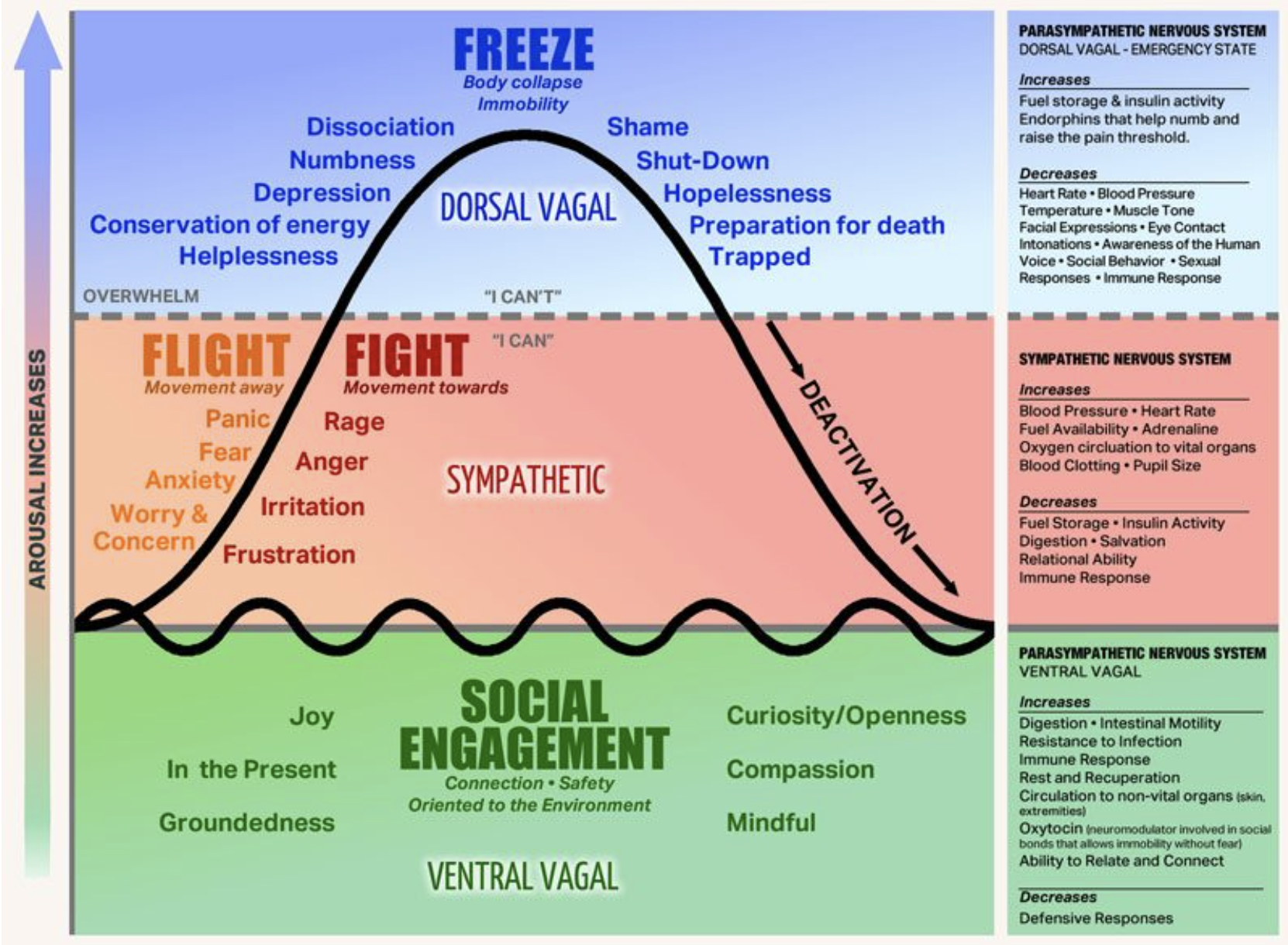 Our Collective American Nervous System is in Crisis Mode (here’s what you can do)