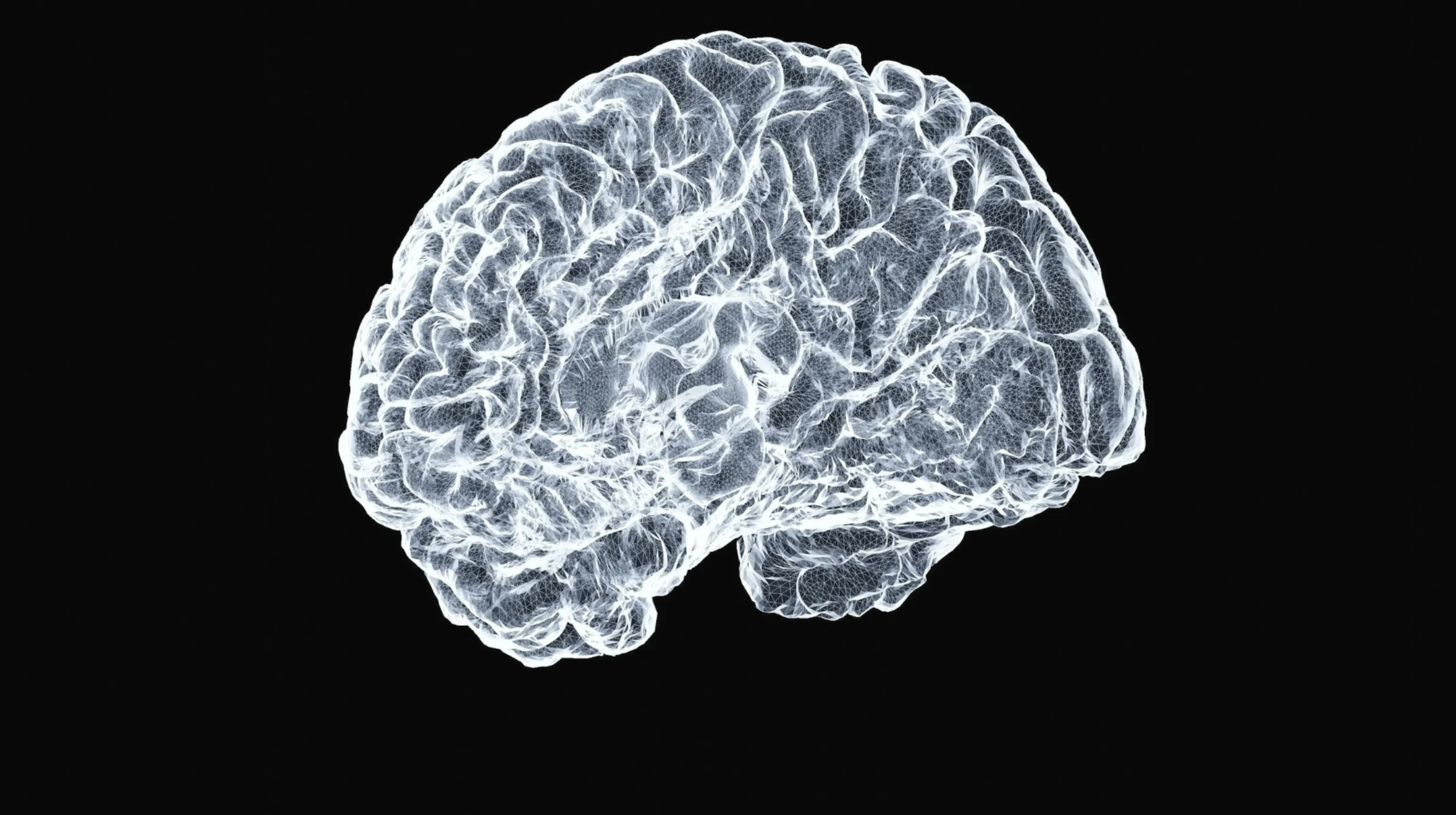 Diagram of the brain related to trauma processing and EMDR therapy