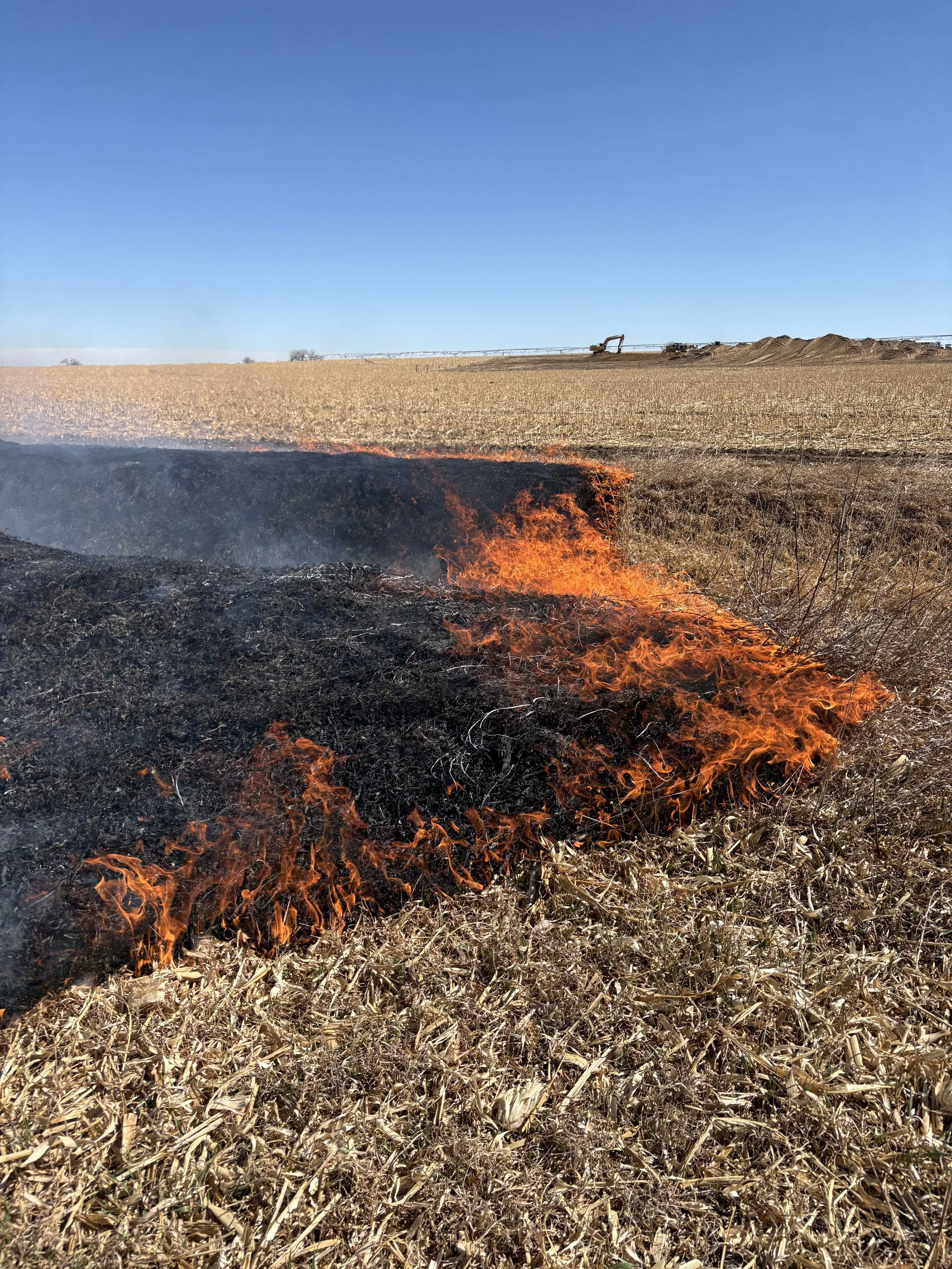 Burned field showing contrast between overgrown weeds and cleared land, representing trauma healing