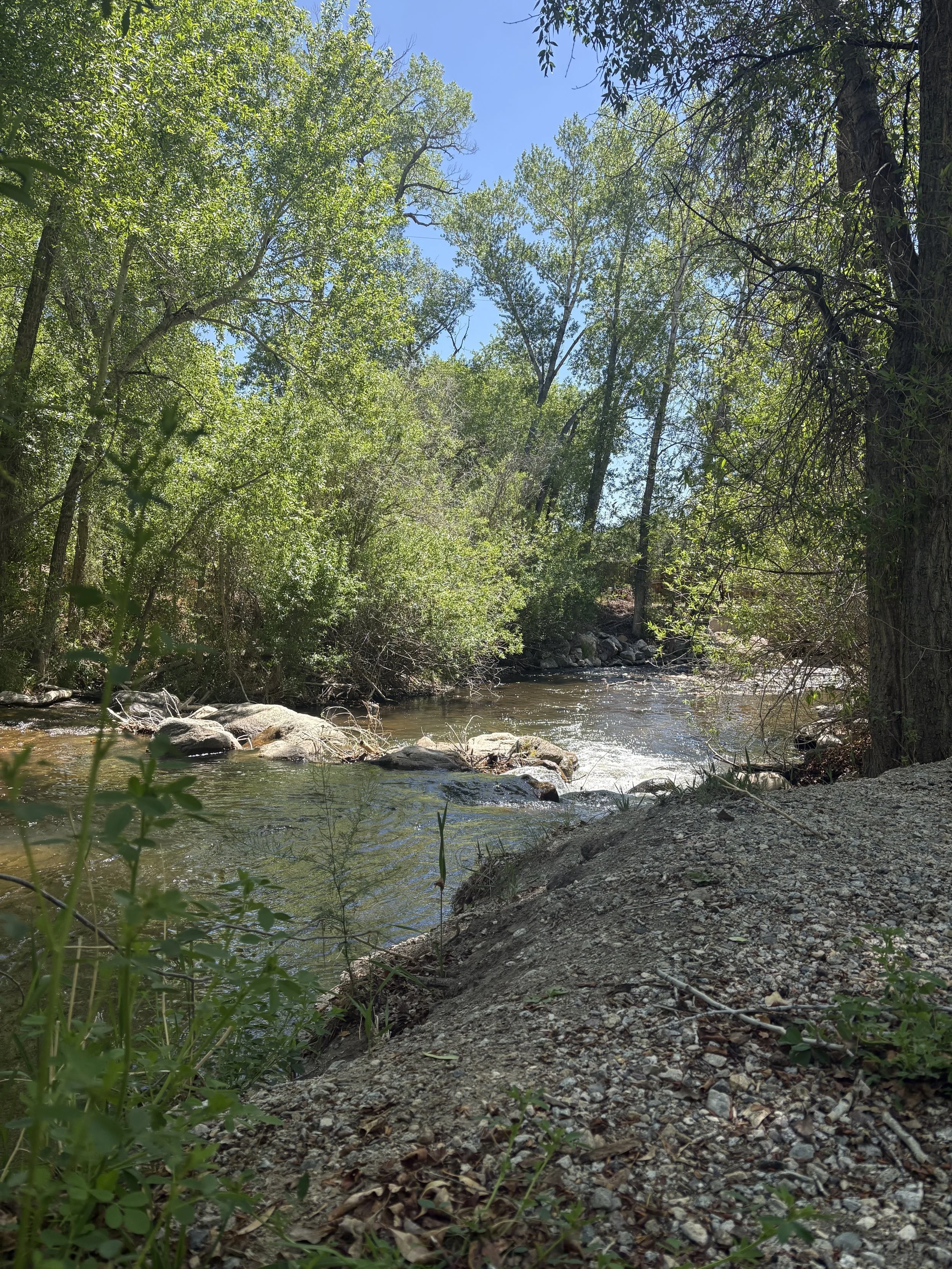 beautiful and peaceful river scene in Colorado mountains