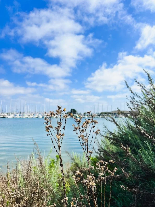 The Parts of our Personality