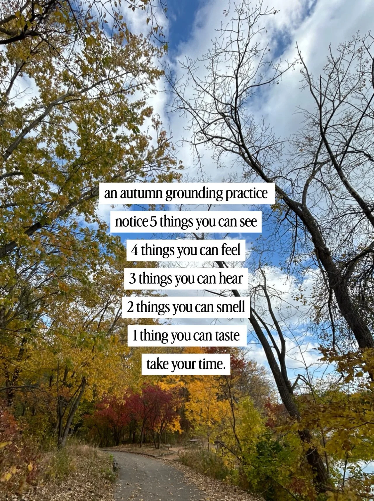 One of our walk-n-talk locations 🍂🍁🫶🏾

grounding brings your attention to the present through your senses. when thoughts feel busy or emotions feel overwhelming, it can help you reconnect with your surroundings and pause before responding.

try t