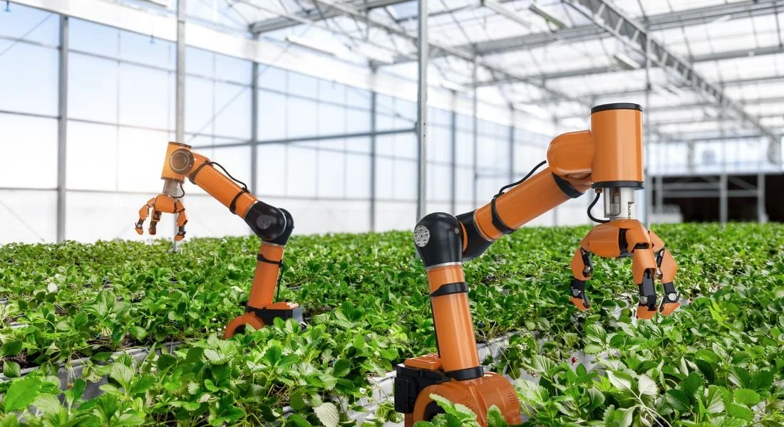 NPPL-R jaarevent tuinbouw: een robot moet zijn plek verdienen