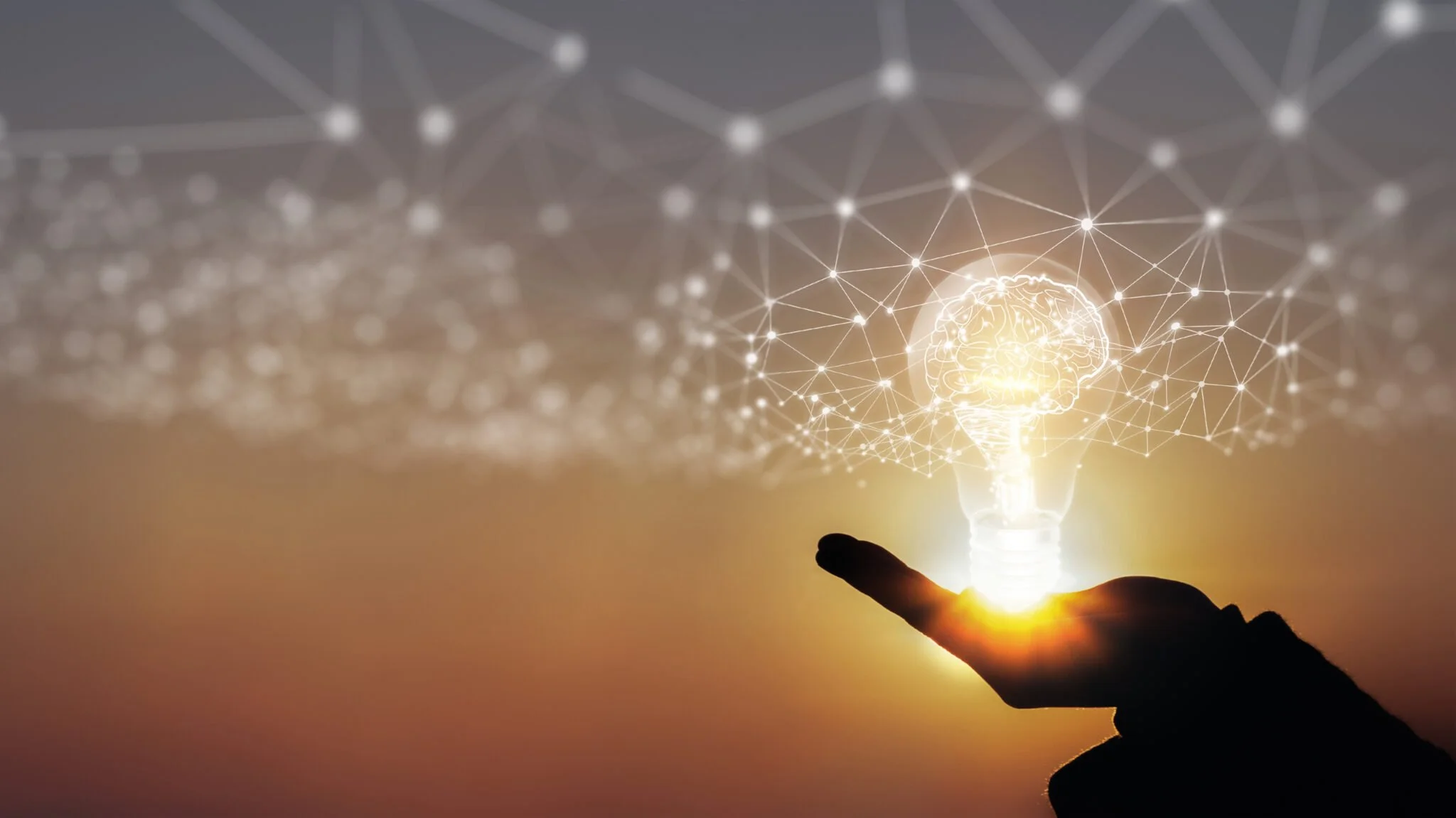 PPS-call ‘Innovatie-impuls Agri &amp; Food’ geopend