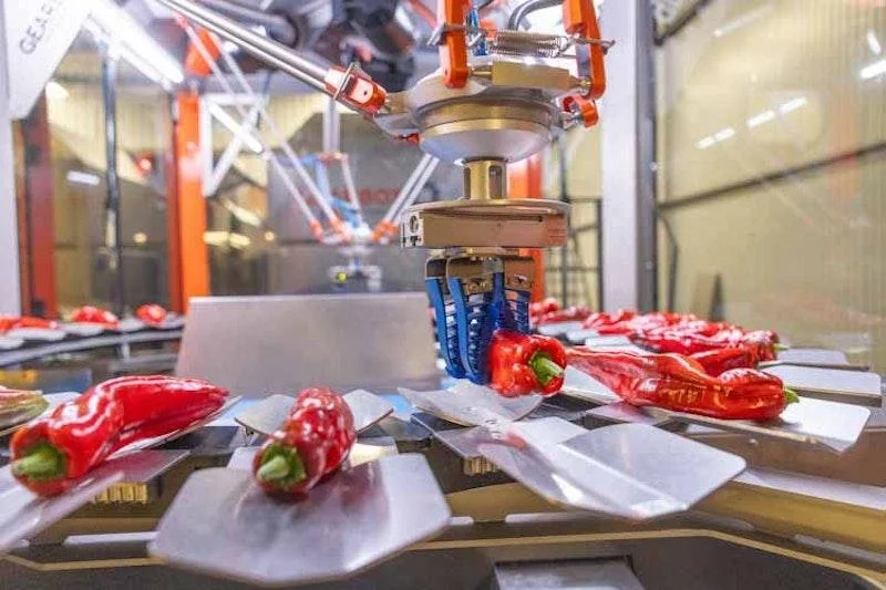 InnovationQuarter: Robots die werk verbeteren, niet vervangen