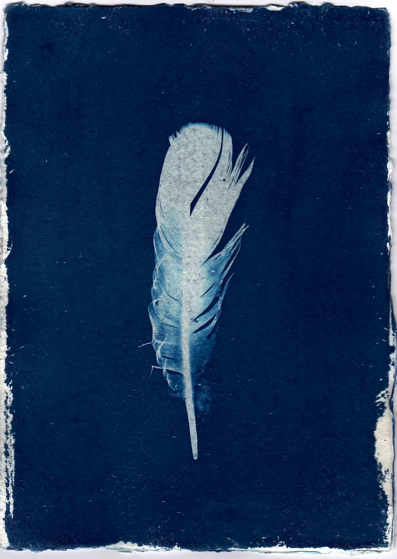 A white feather on a soft blue background, symbolising the narrow image of eating disorders the system recognises—while most suffering remains unseen and unsupported.
