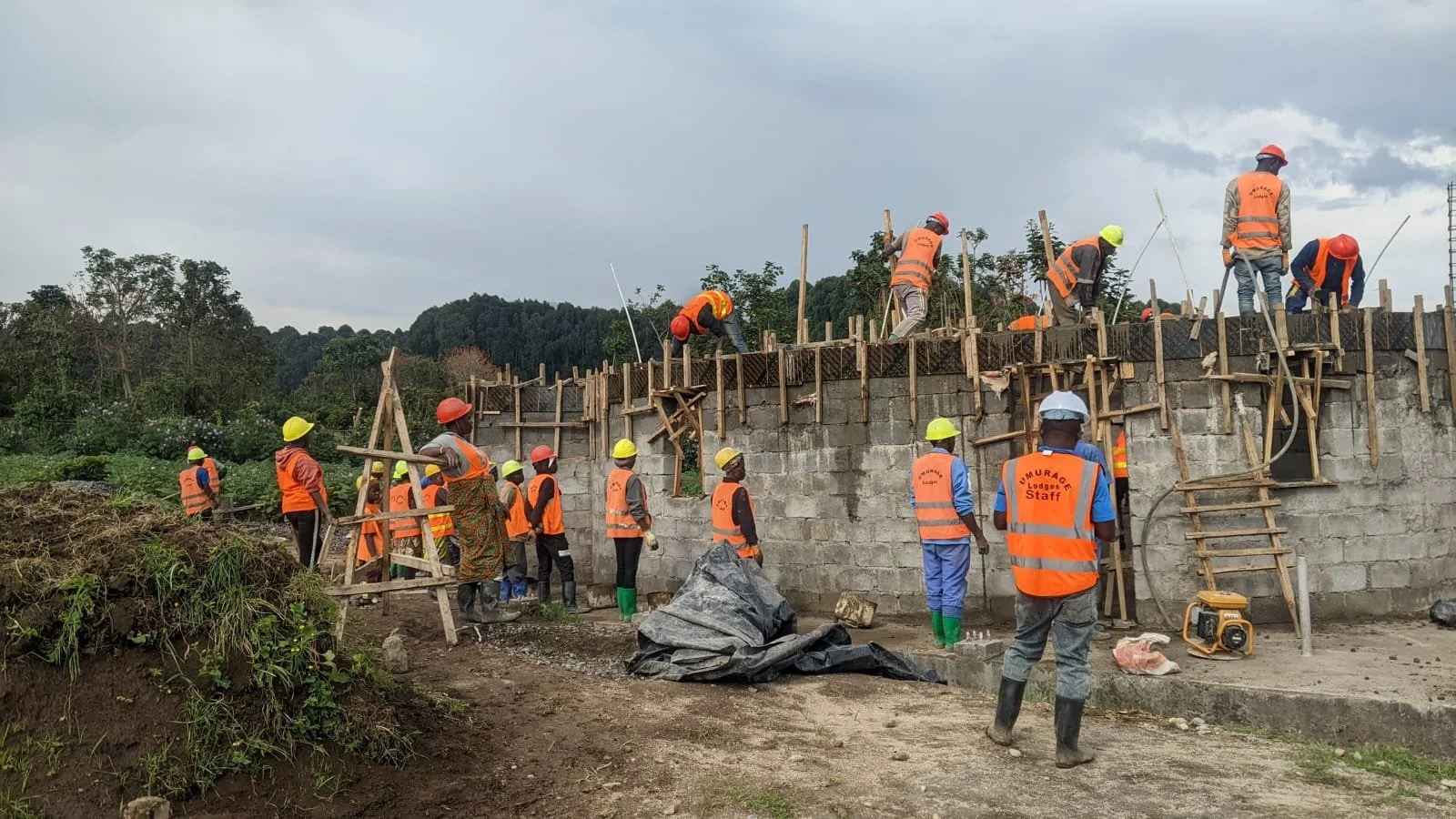 WhatsApp Image 2026-03-08 at 16.50.14.jpeg