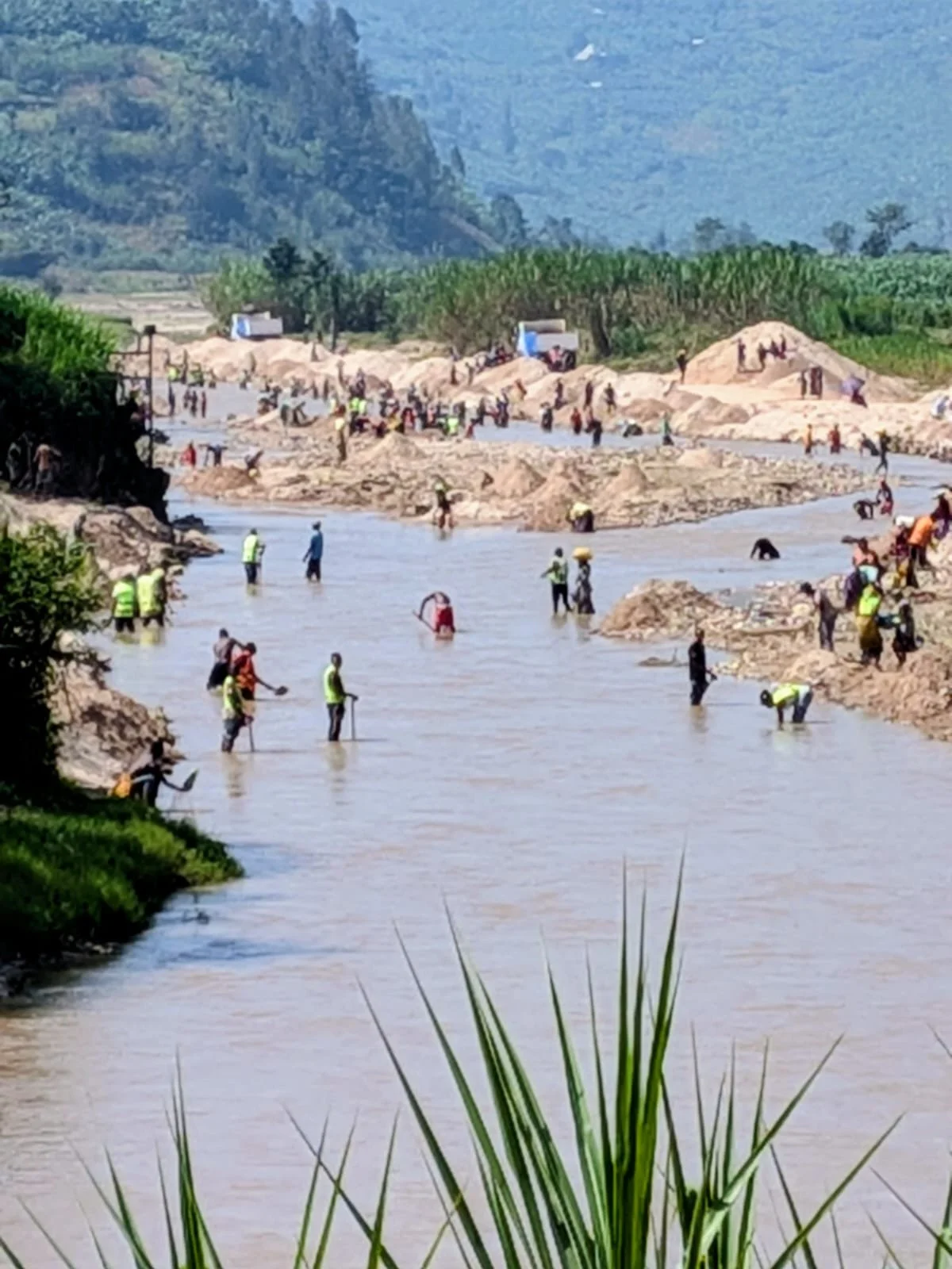 WhatsApp Image 2026-03-08 at 16.47.15.jpeg