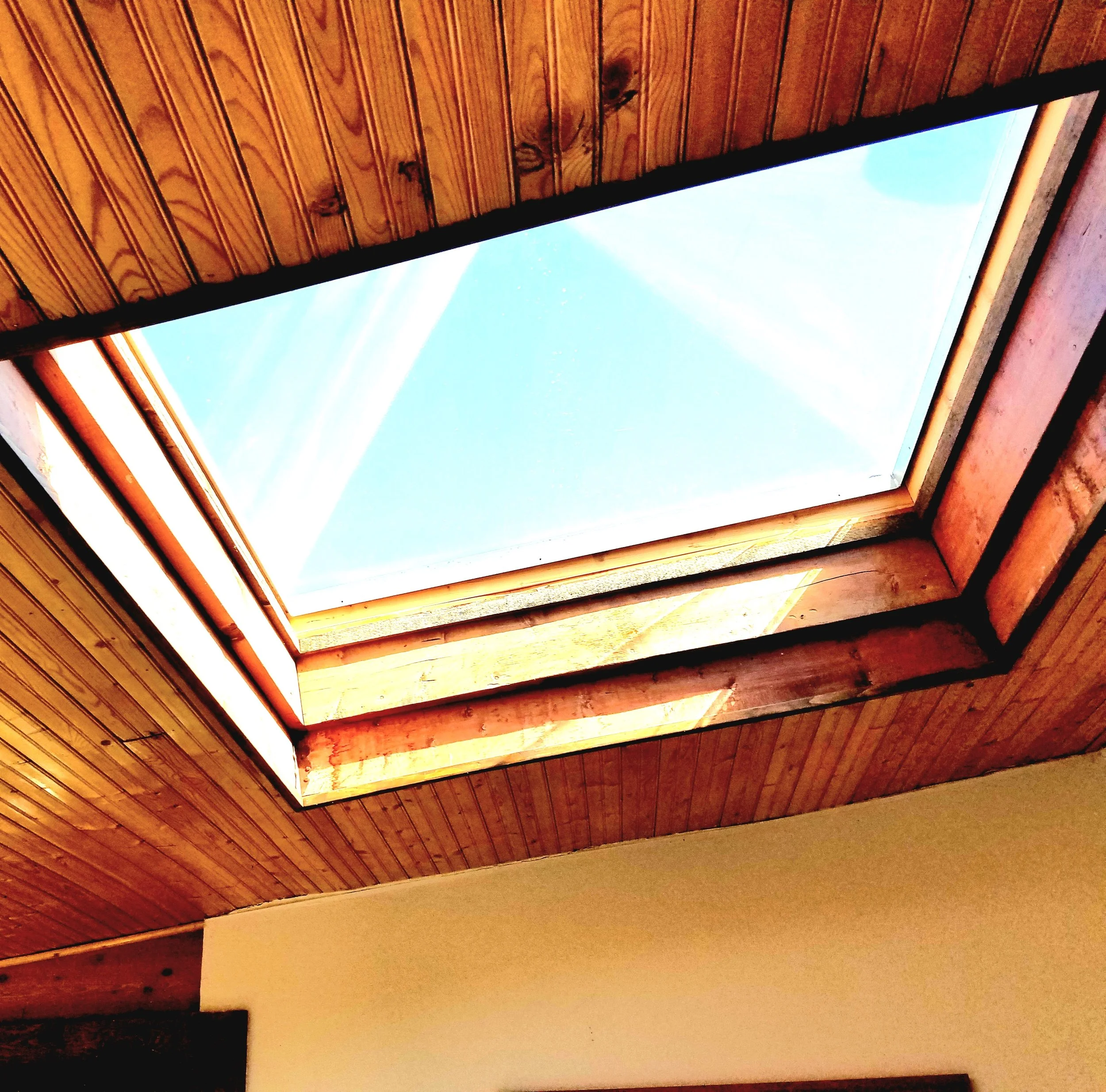 20190514_095203 - Copy.jpg