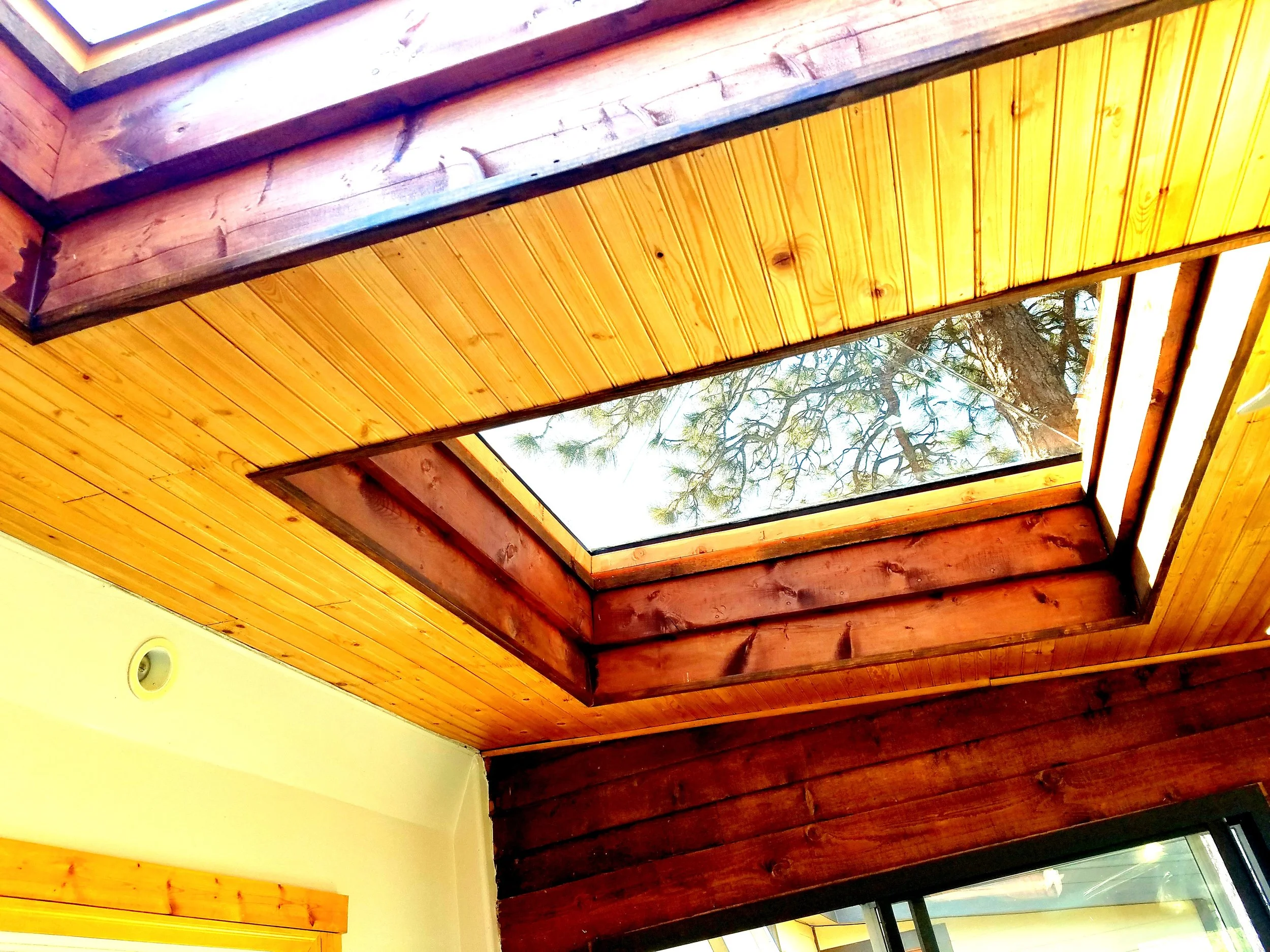 20190514_095200 - Copy.jpg