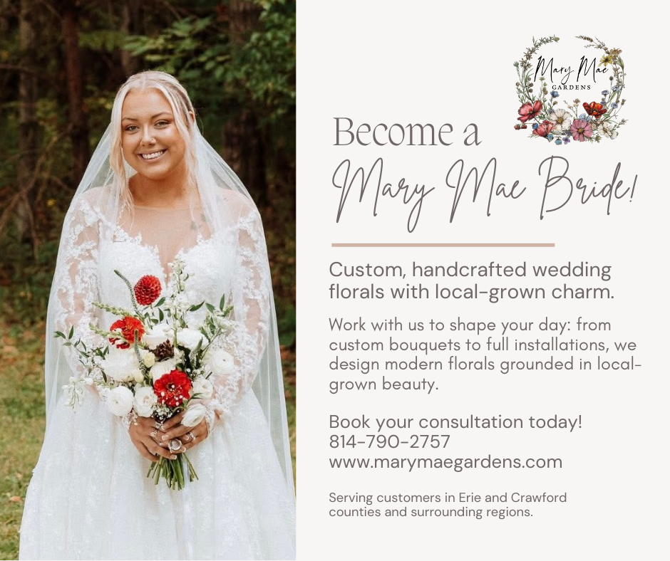 Mary Mae Bride v.5.PNG