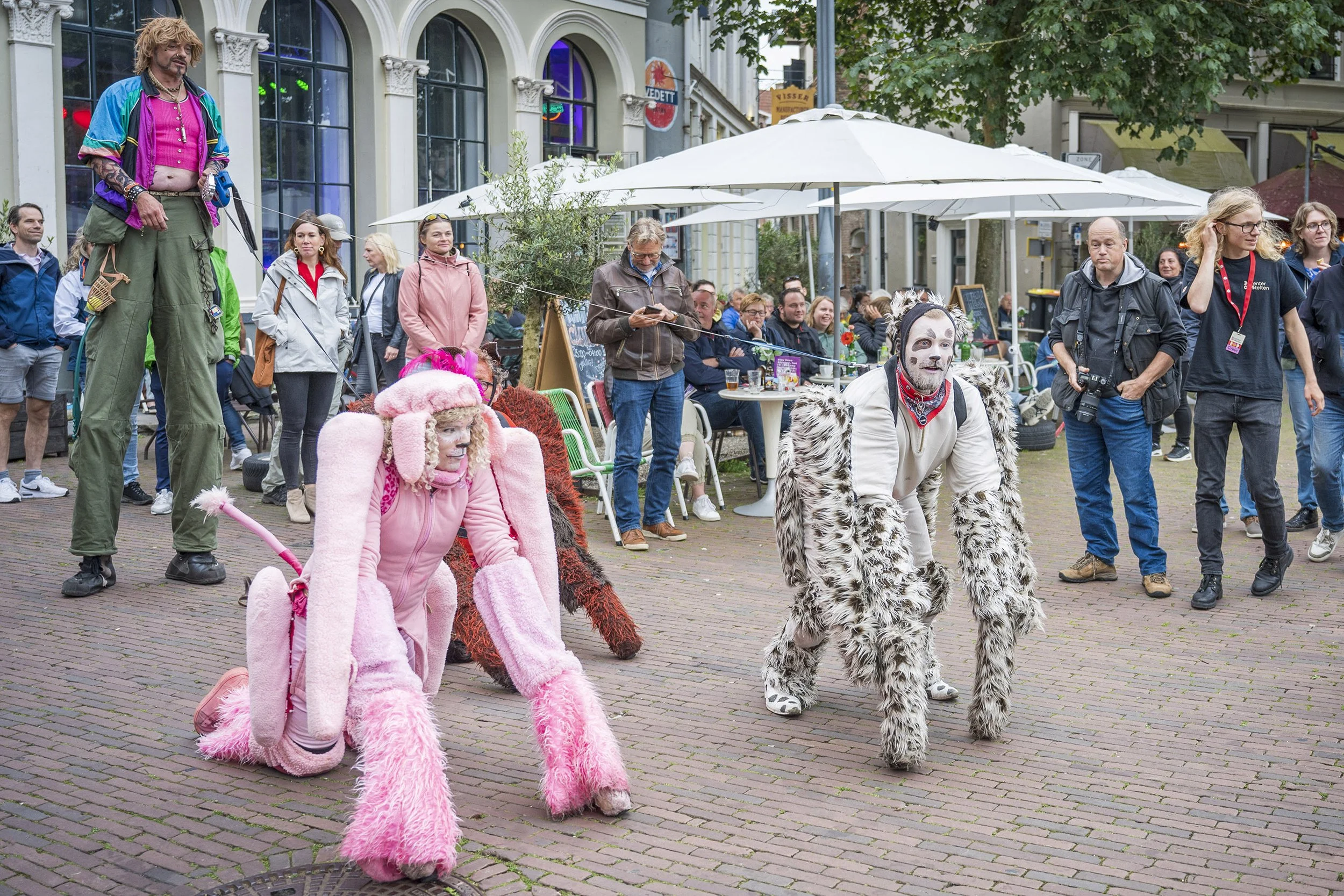 Mensen in kostuums en verklede mensen die op straat paraderen, met een groep toeschouwers die toekijken en foto's maken. Er zijn mensen als dieren, bijvoorbeeld een persoon in een roze kostuum die een hondvoorstelling imiteert, en iemand in een dierl