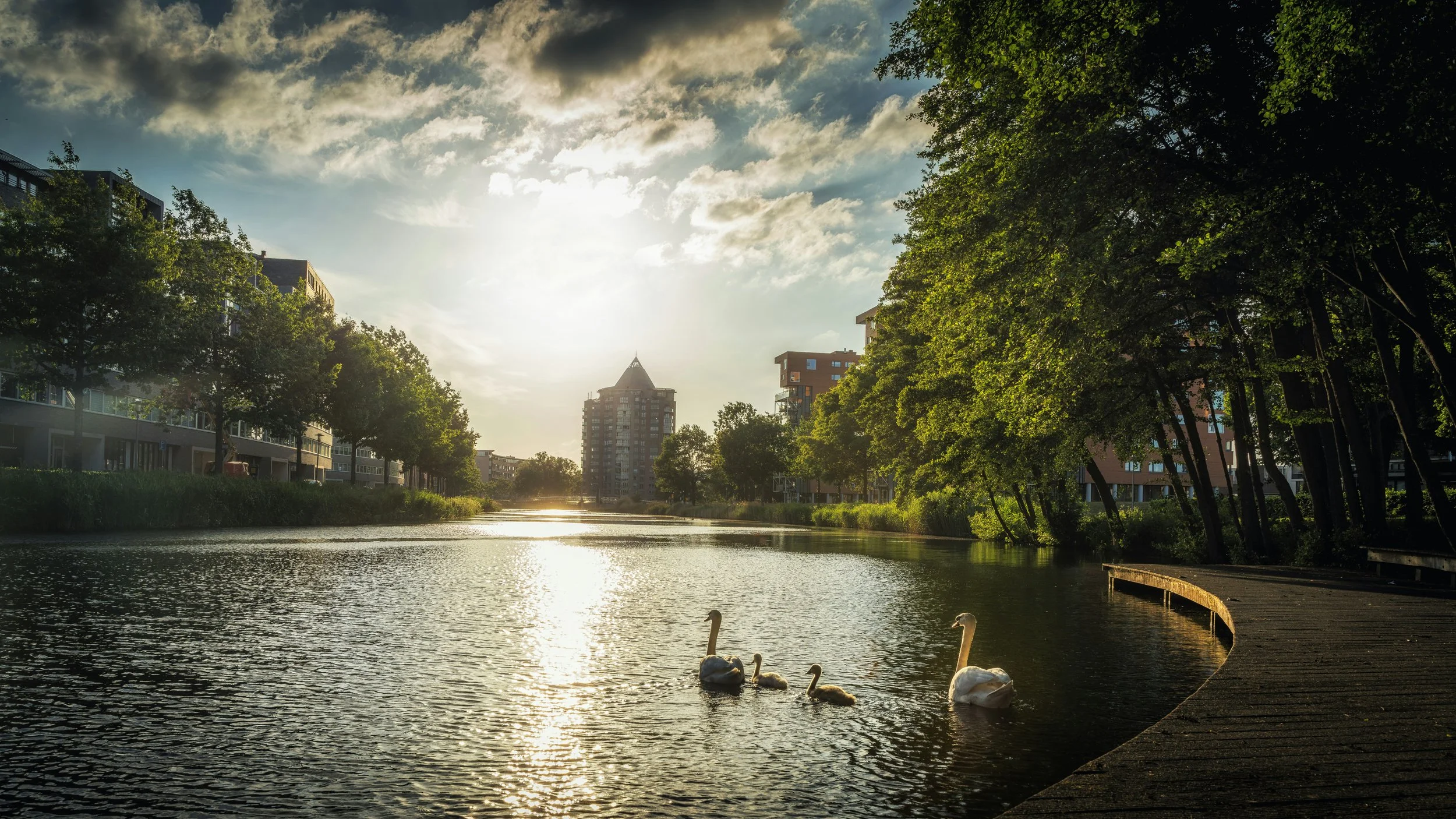 Stadsgezicht met rivier, zwemmende zwanen, bomen aan de randen en moderne gebouwen op de achtergrond, onder een bewolkte hemel met de zon die doorbreekt. Foto van Potlood in Apeldoorn.