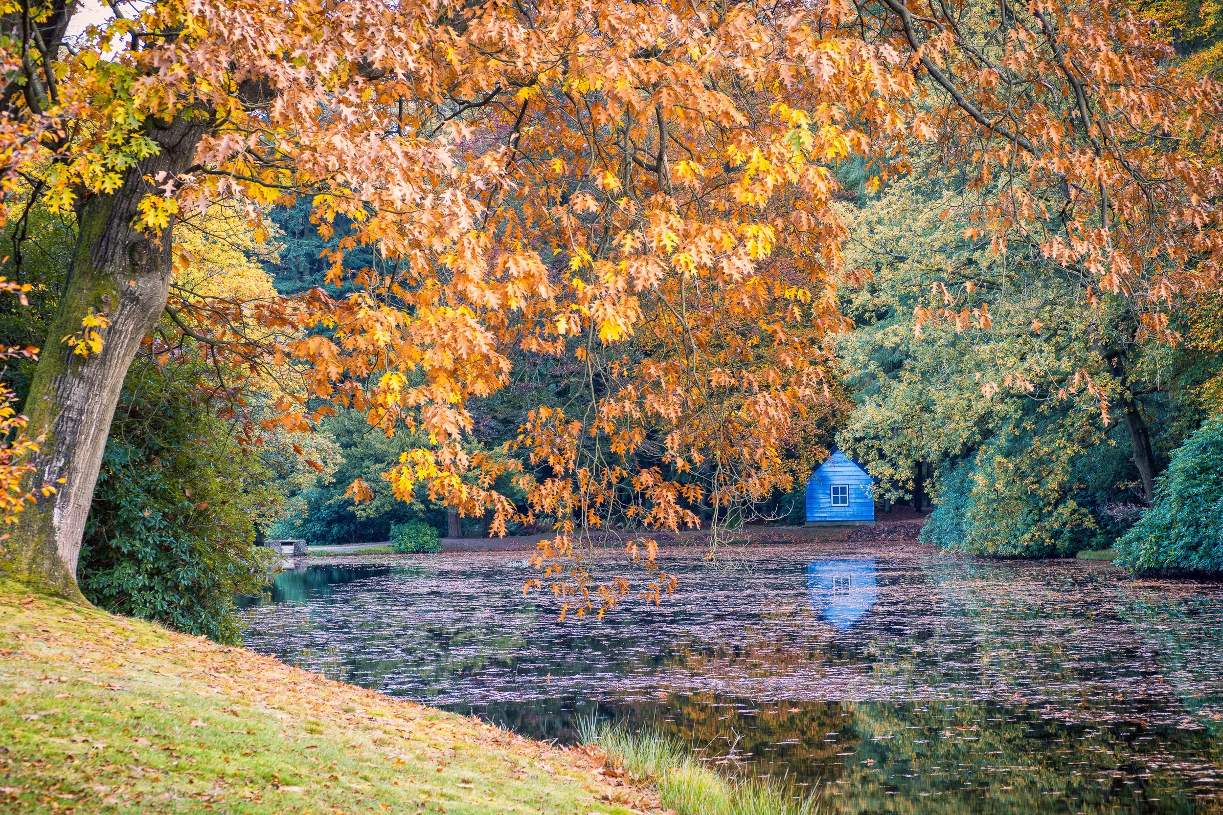 foto van park in apeldoorn in de hersft