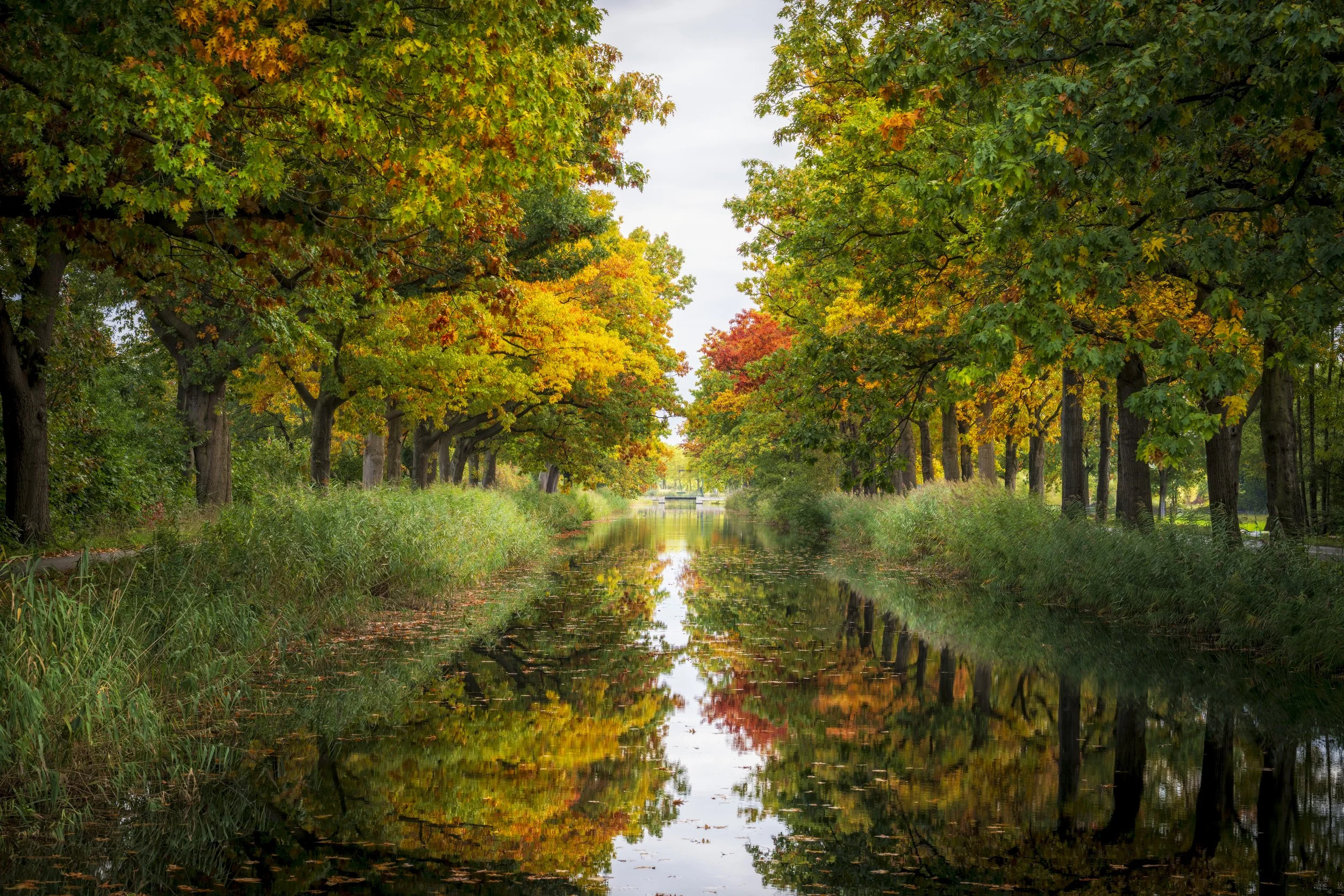 Het prachtige Apeldoornse kanaal in de herfst