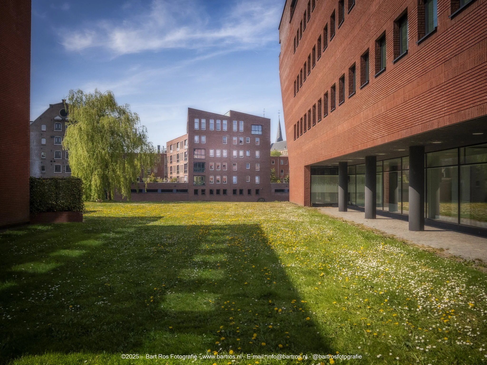 Groene tuin met gras en struiken, omgeven door moderne roodstenen gebouwen onder een blauwe hemel met wolken.