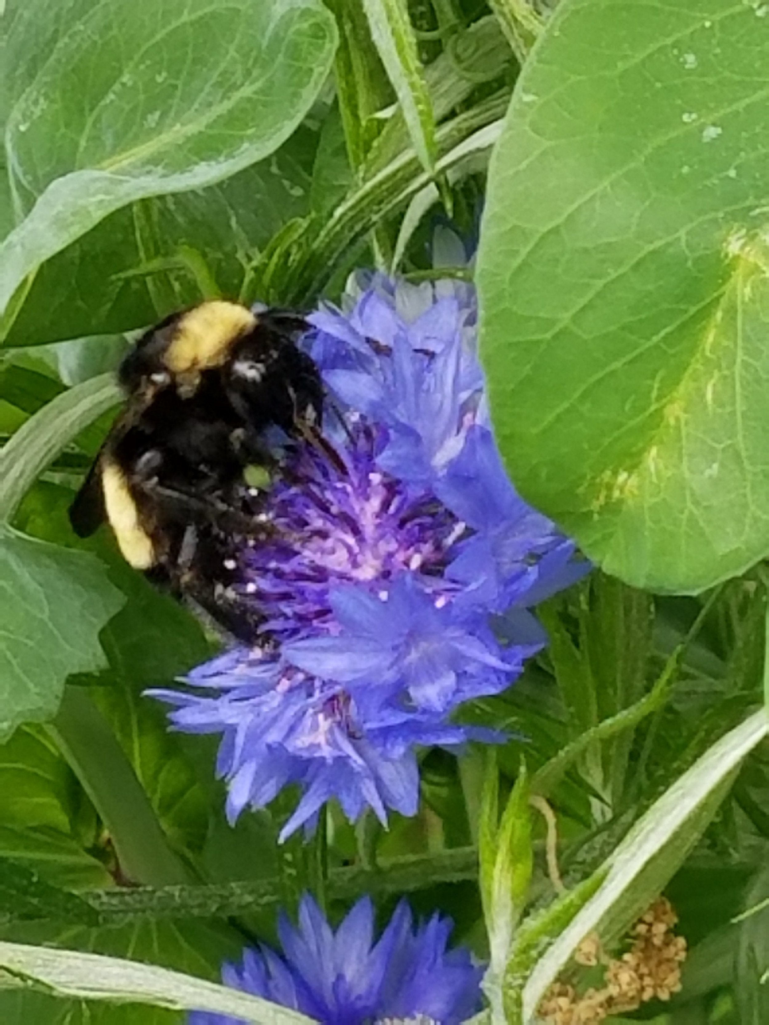 processed_20180510_121950.jpg