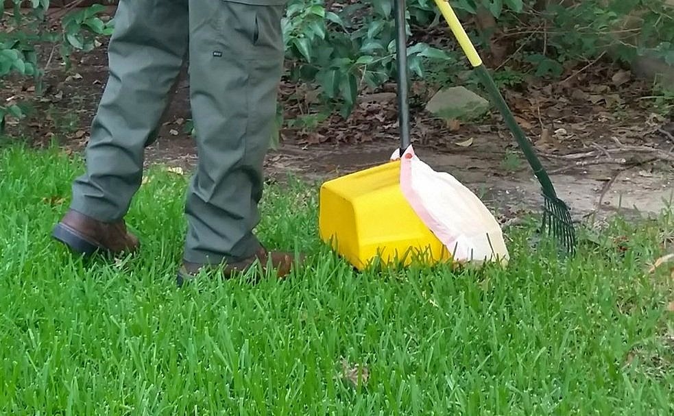 pet_waste_removal.jpg