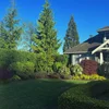 Edgemont Gardening & landscaping ltd photo 5