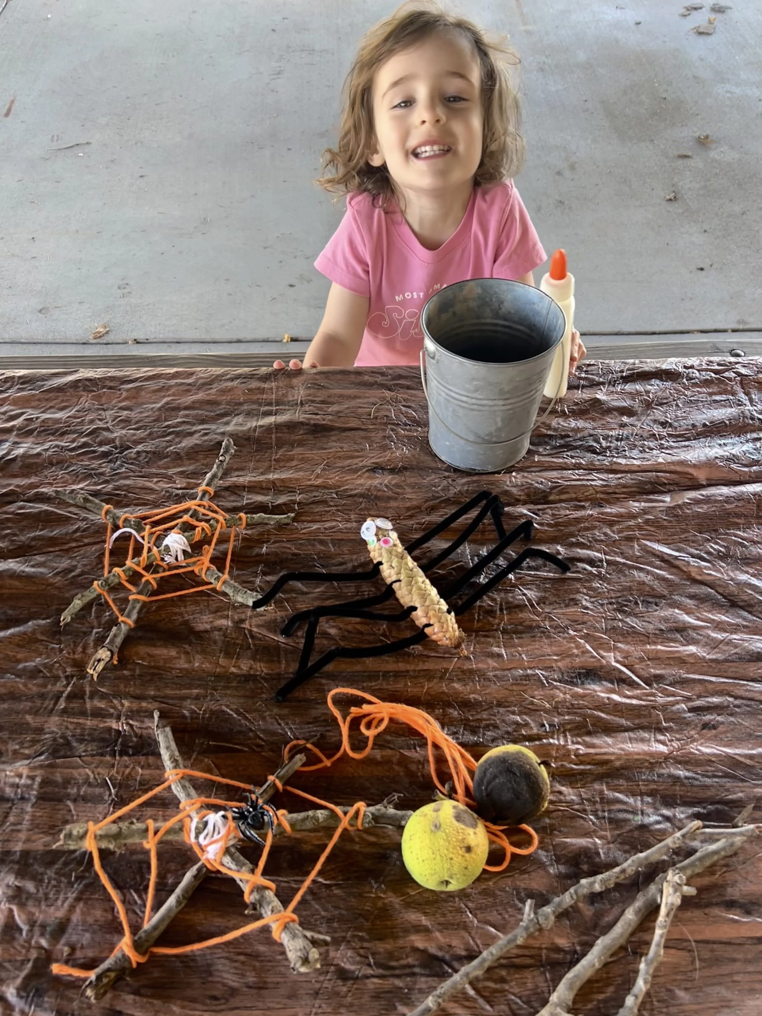 October 25th- Wings in the Night