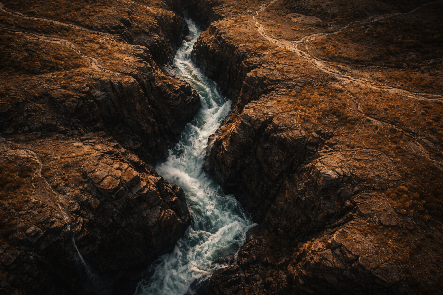 The Behaviors You Tolerate