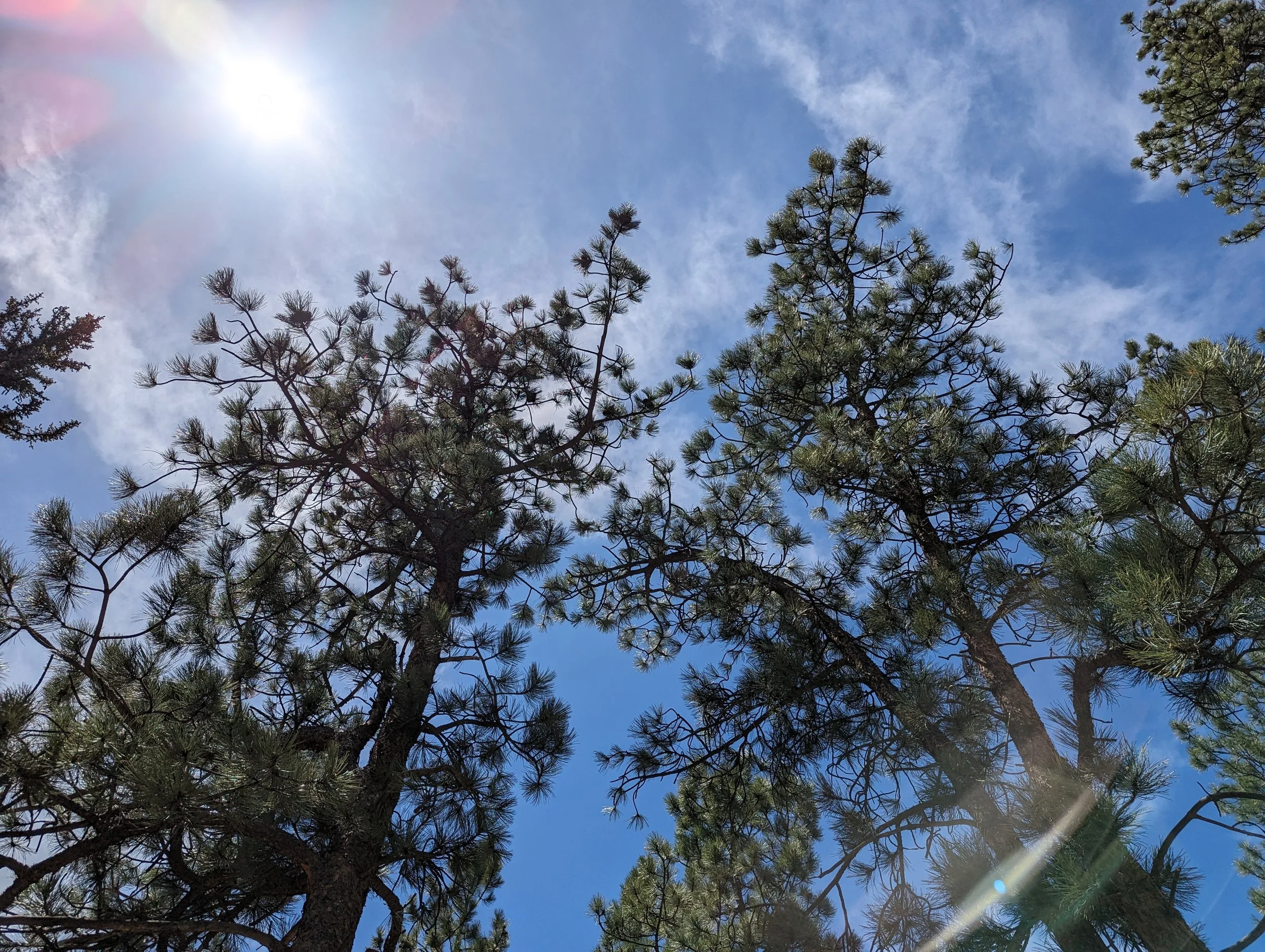 05/23/2024: Pine, CO Day 2