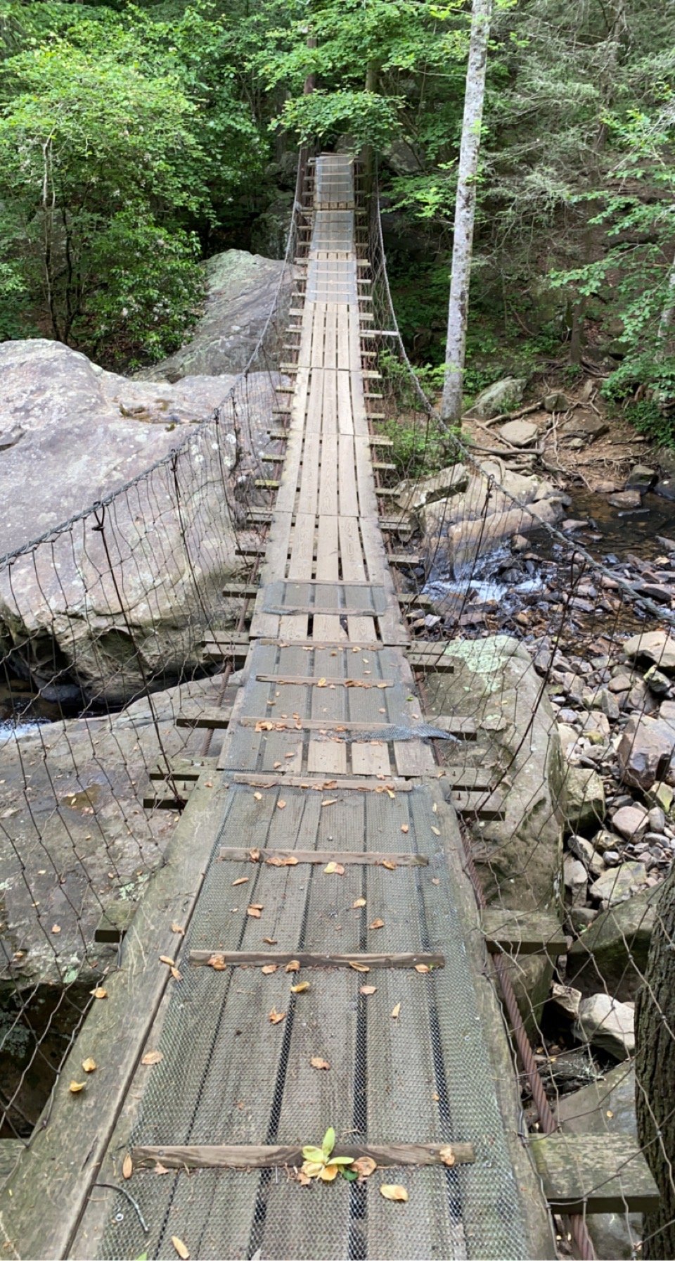 Chatanooga 2.JPG
