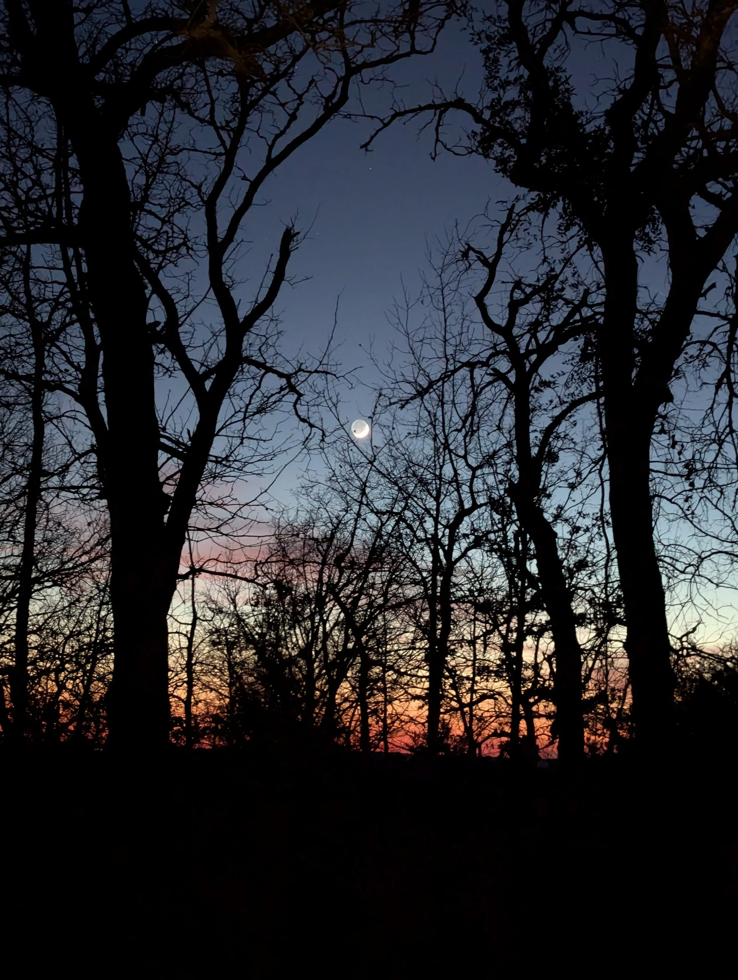 01/02/2025: Cabin Day 5 (Cynthia)