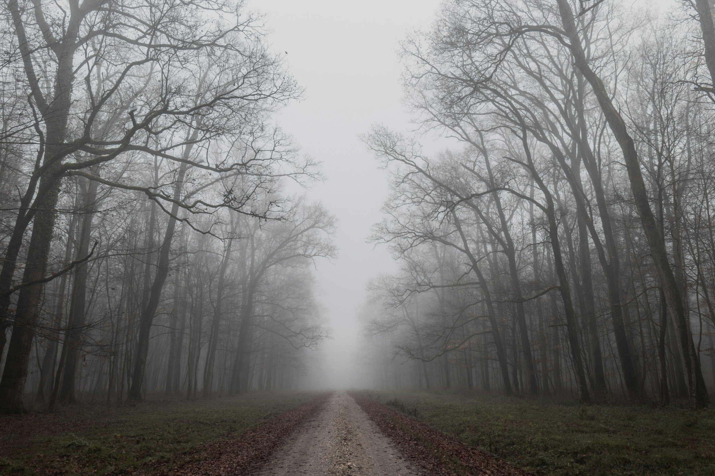 02/13/2025: On This Lonely Road