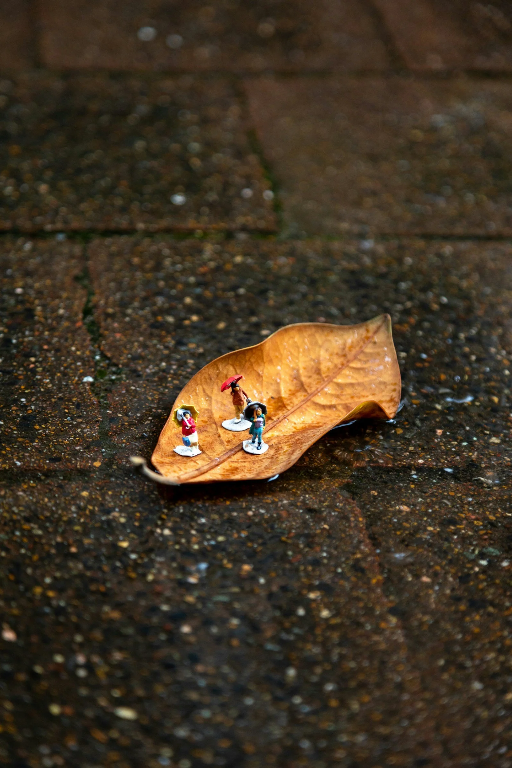 02/25/2026: This Little Life of Ours