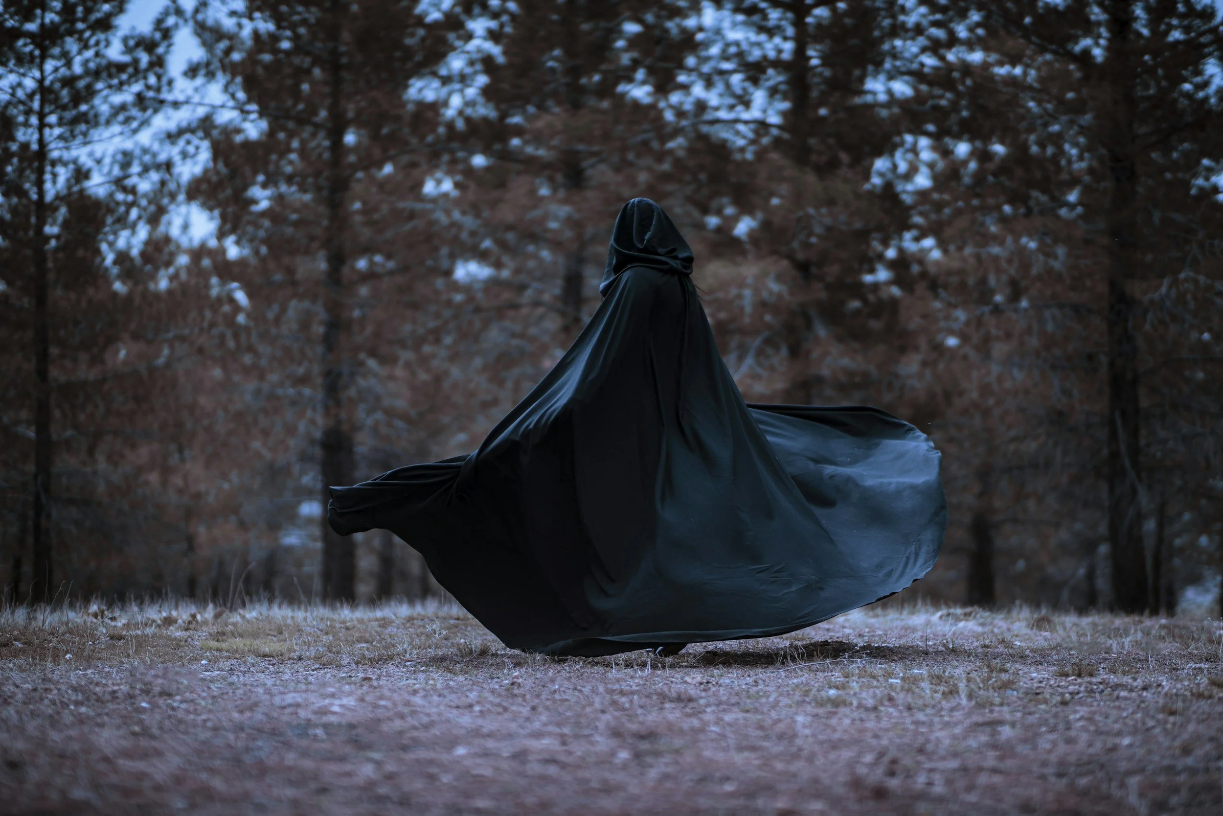The Name of the Wind