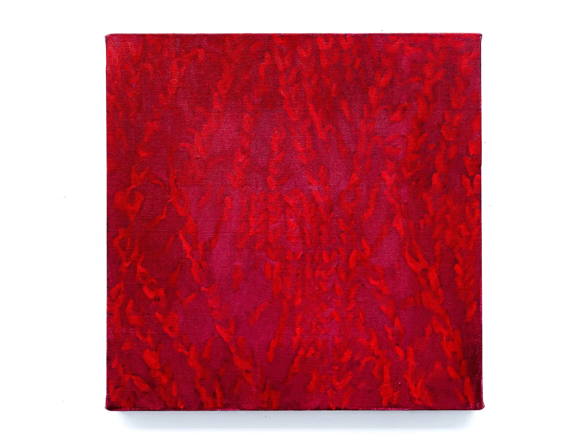 Untitled, 2026, Oil on canvas, 15” x 15”