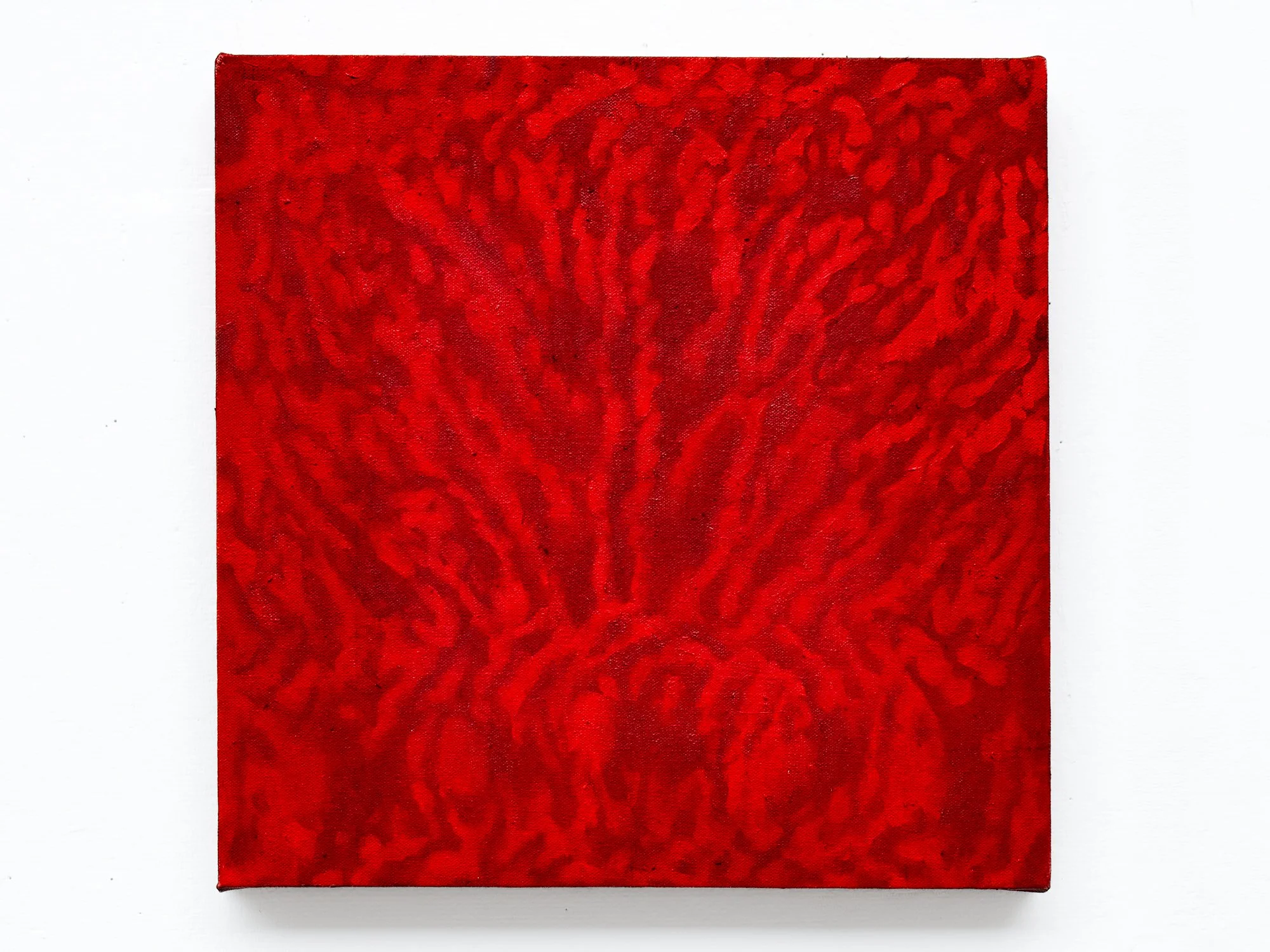 Untitled, 2026, Oil on canvas, 15” x 15”