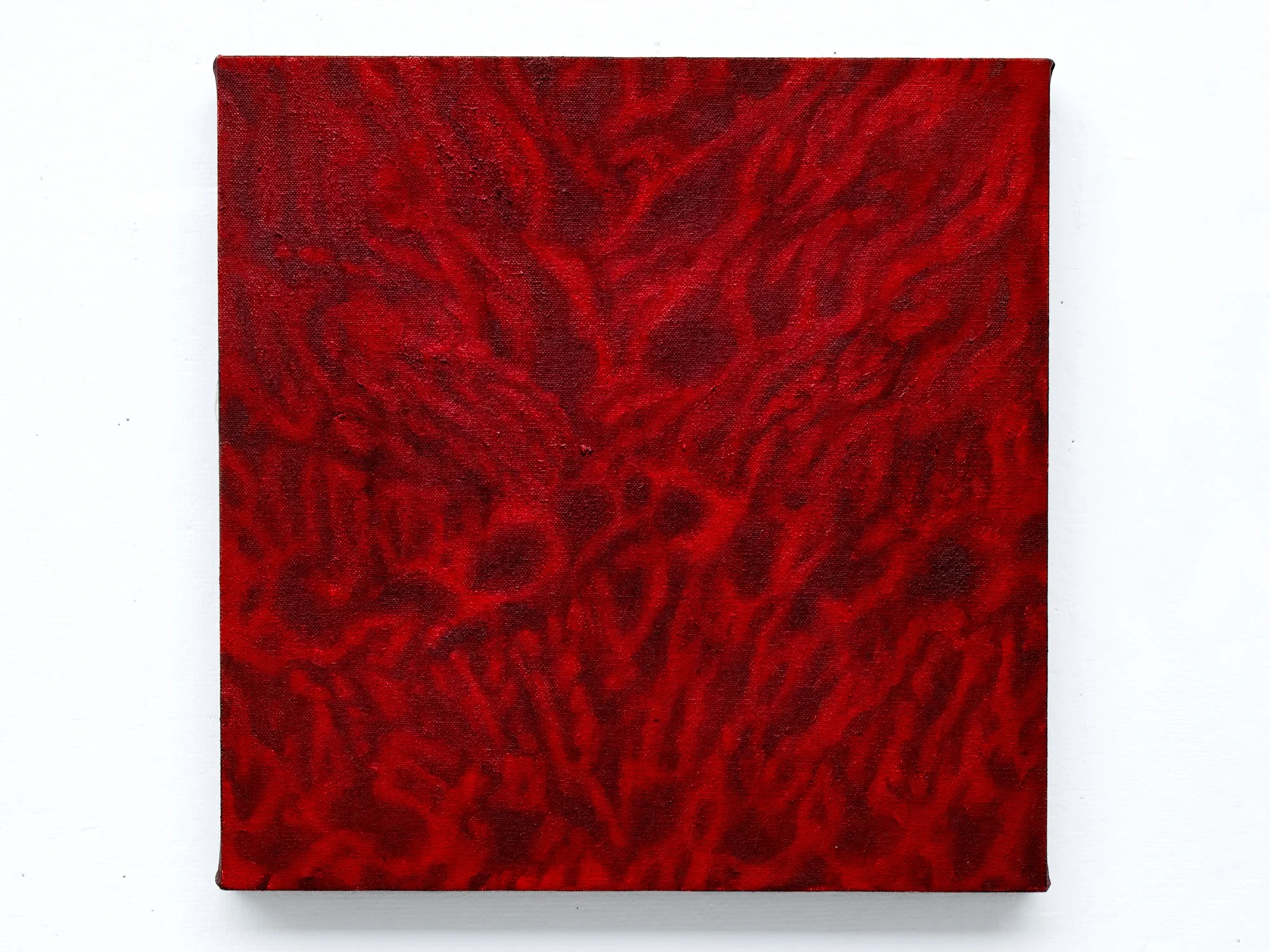Untitled, 2026, Oil on canvas, 15” x 15”