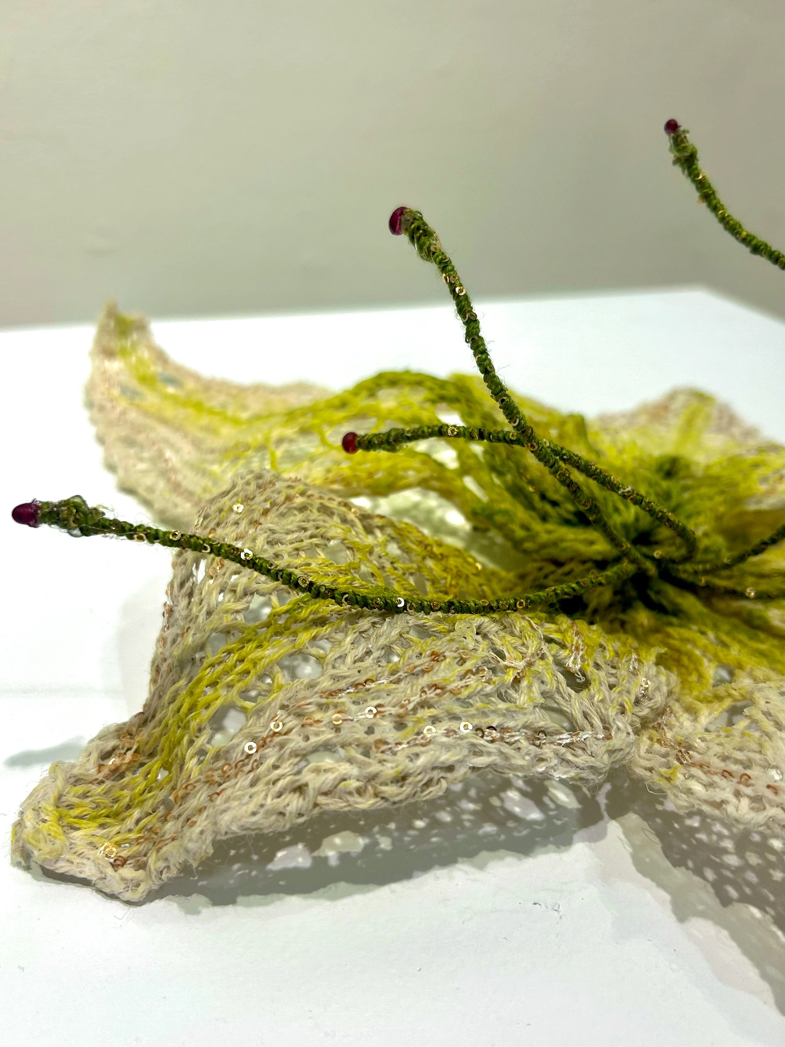 Lily, 2025
Machine- and hand-knit lace, wire
10’’ x 10’’ x 6’’