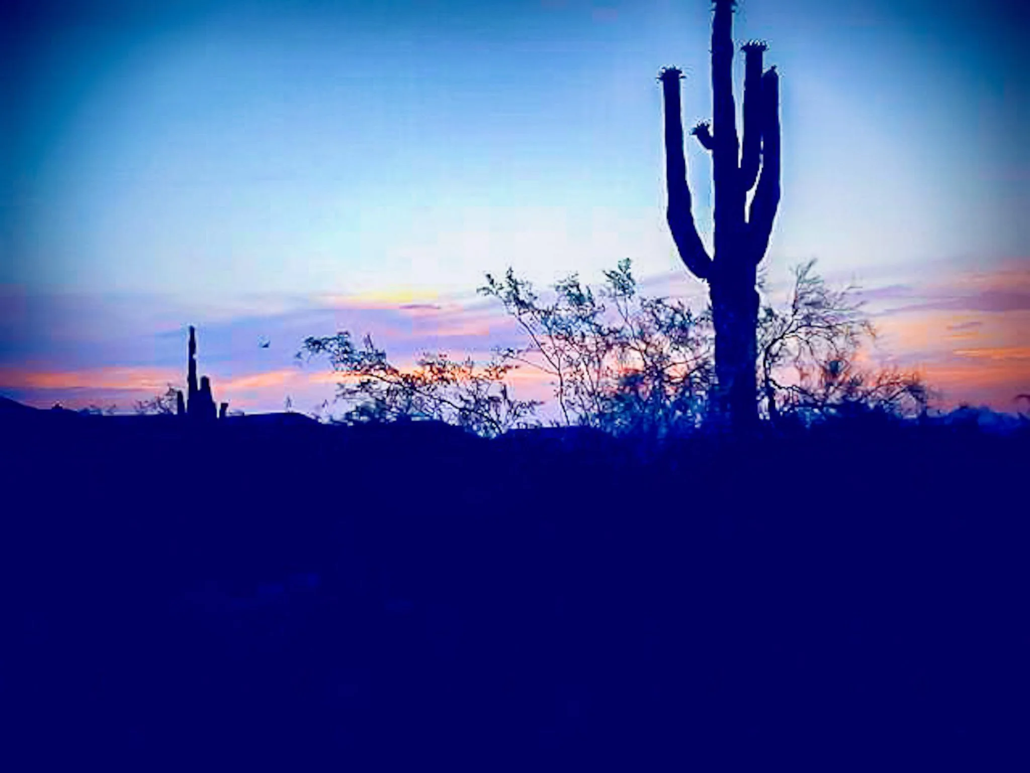 Sunrise at Lookout Mountain Park
