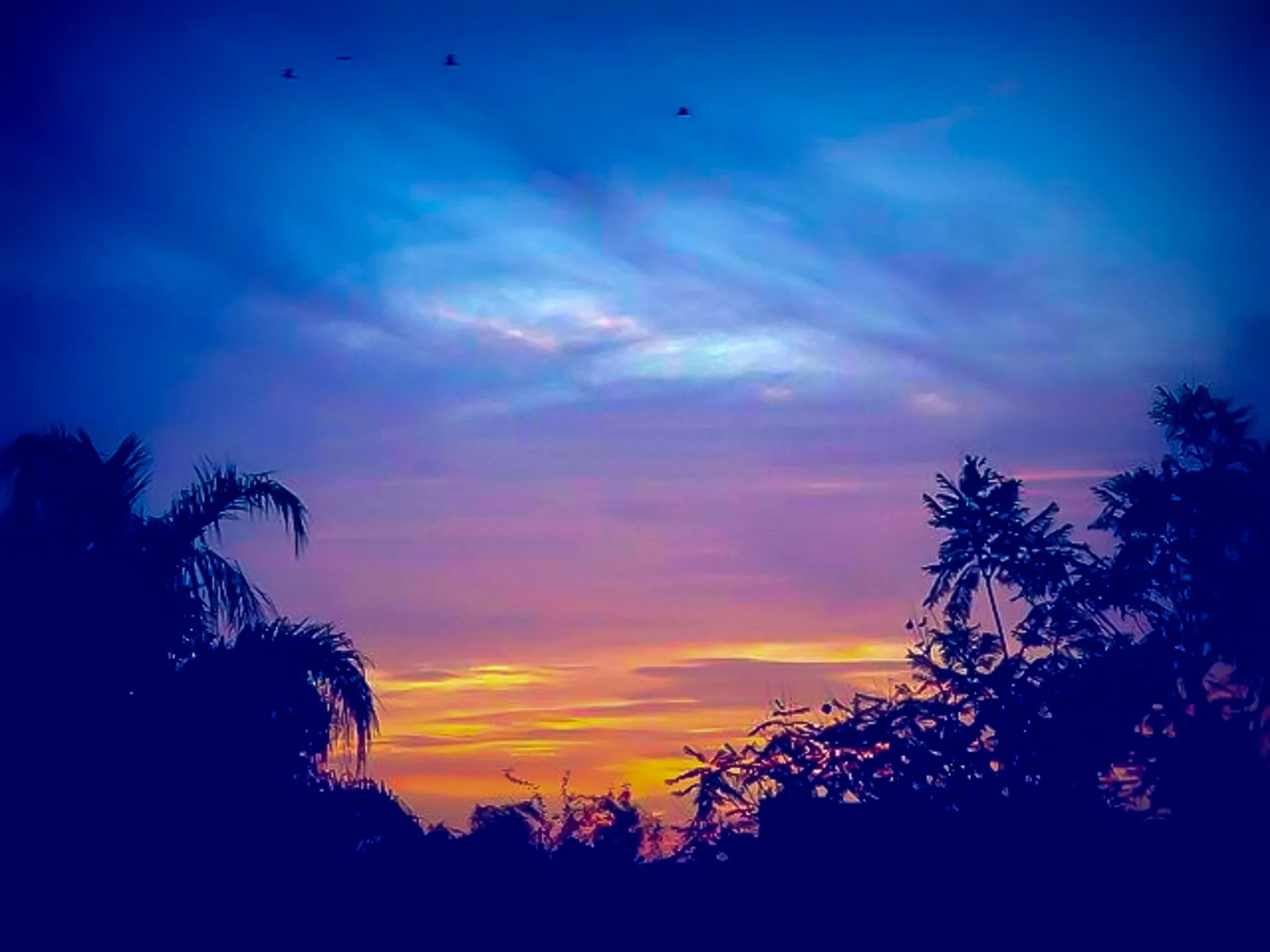 Sunset from our back yard in Phoenix