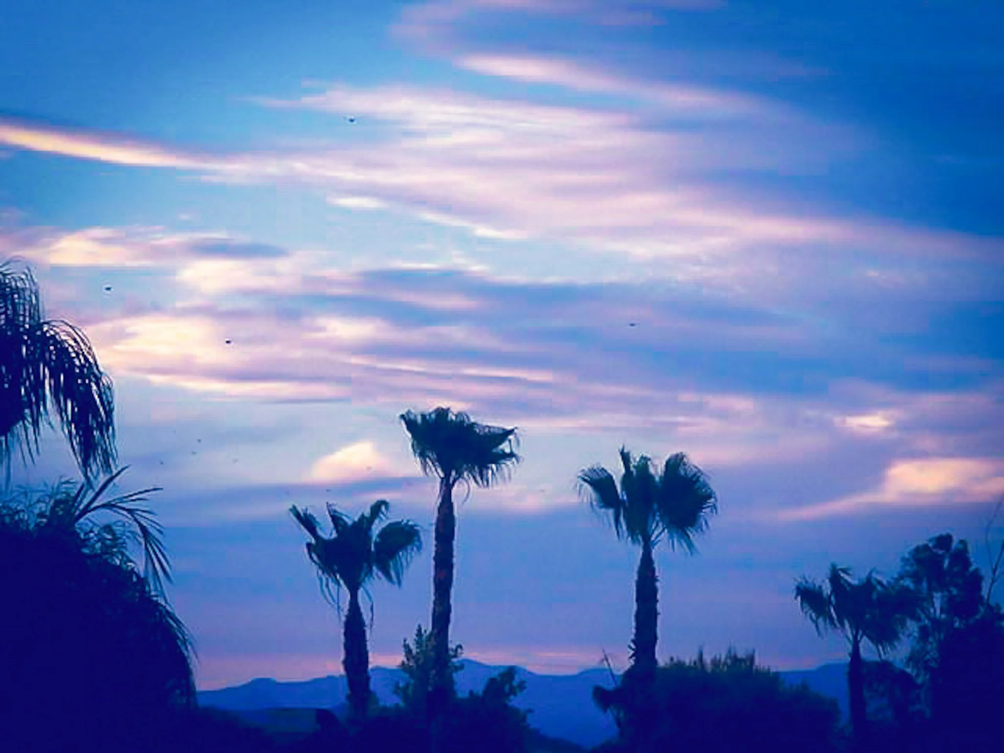 Looking north from our front yard at sunset – June 2000