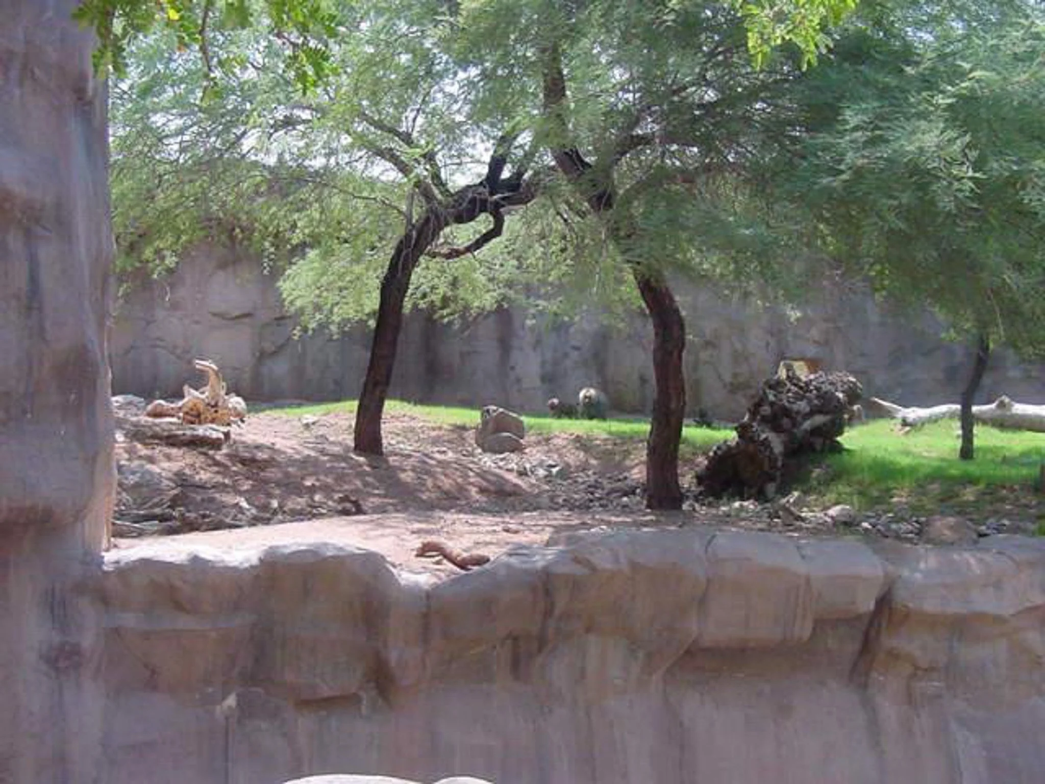 The Phoenix Zoo August 2000 - Very Hot Day   120°