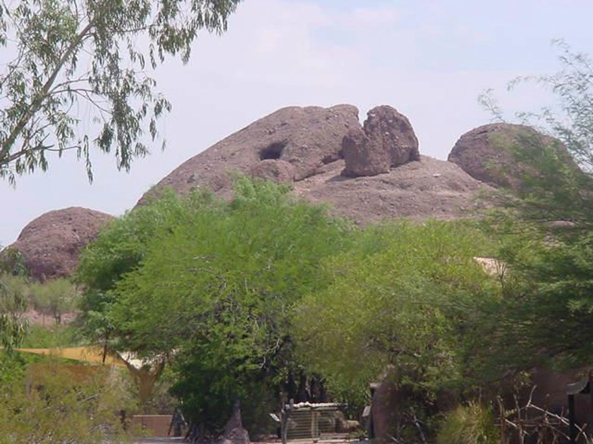 The Phoenix Zoo August 2000