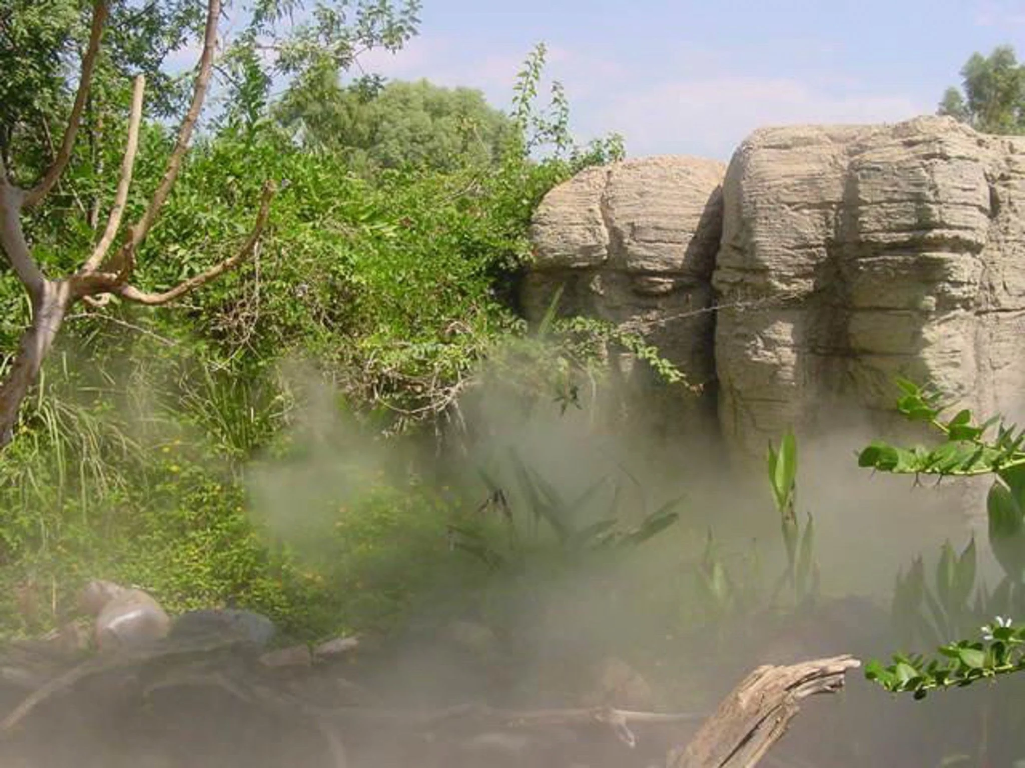 The Phoenix zoo August 2000