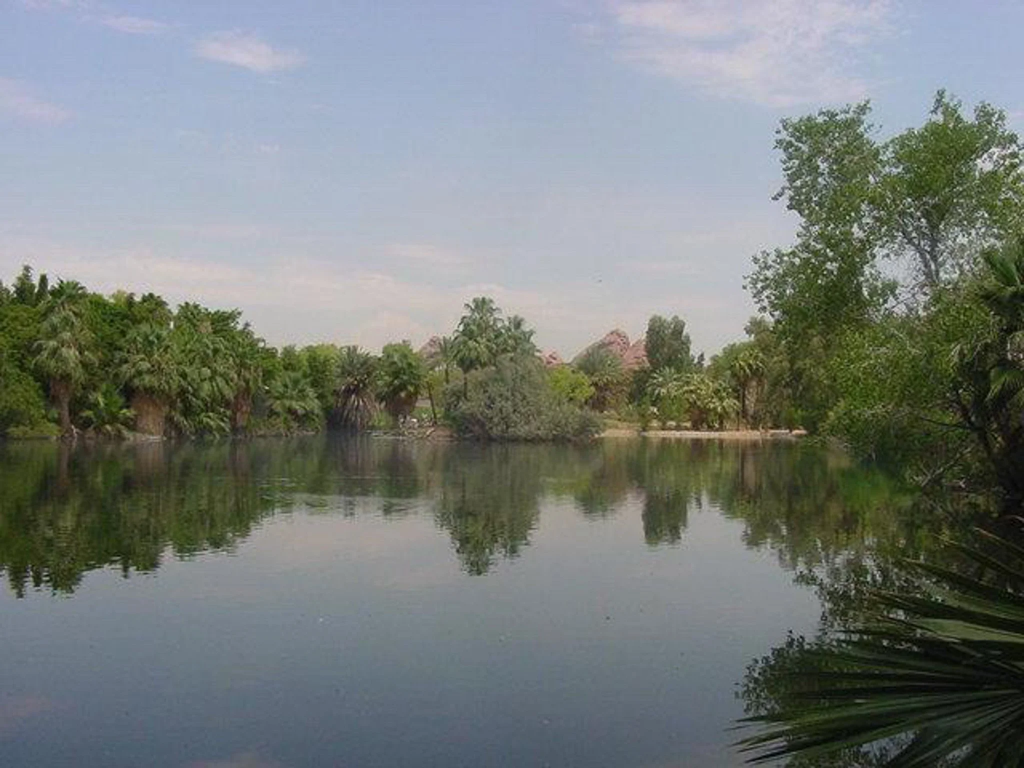 The Phoenix zoo August 2000