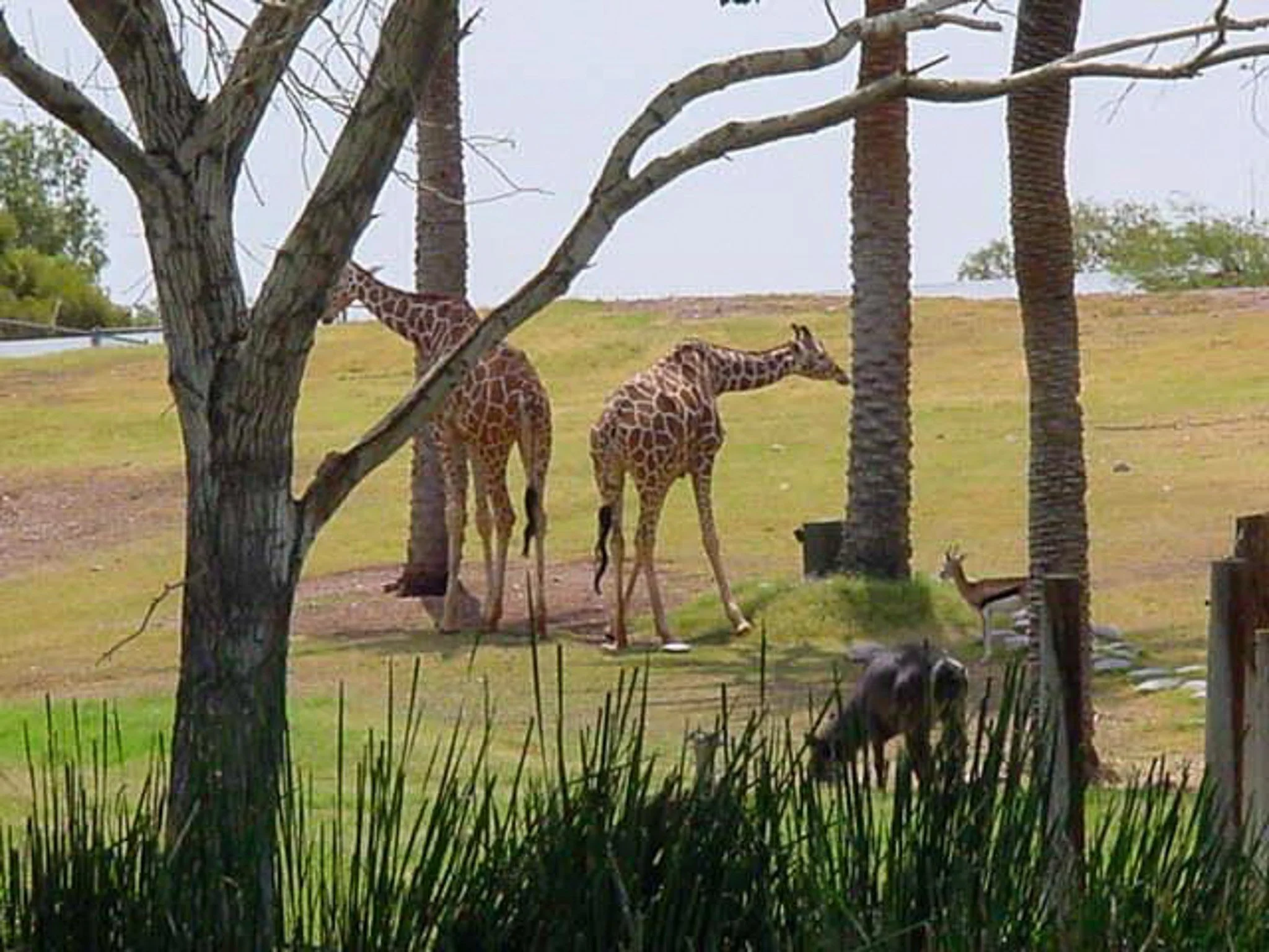 IMG_3560.jpg