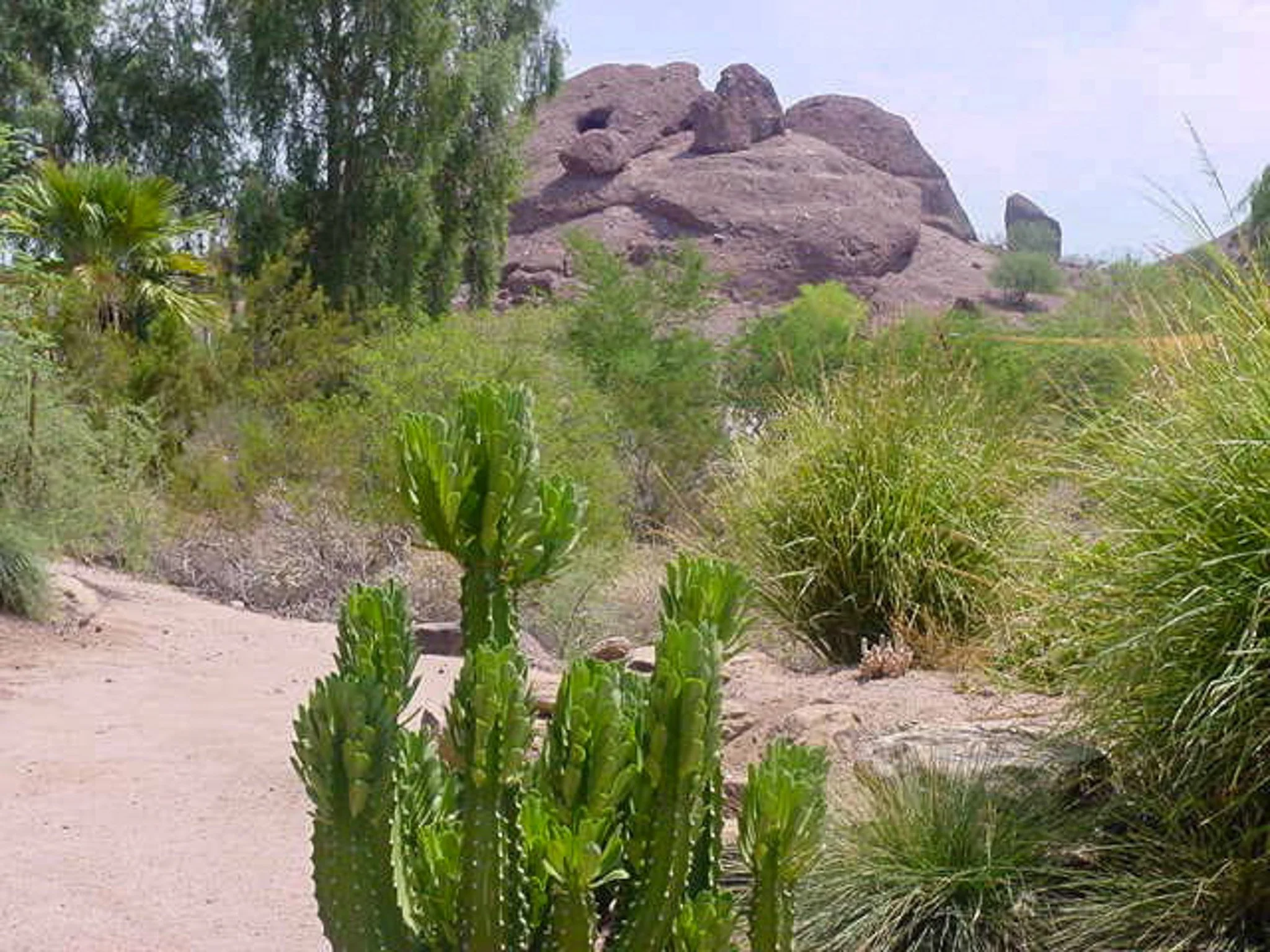 The Phoenix Zoo August 2000