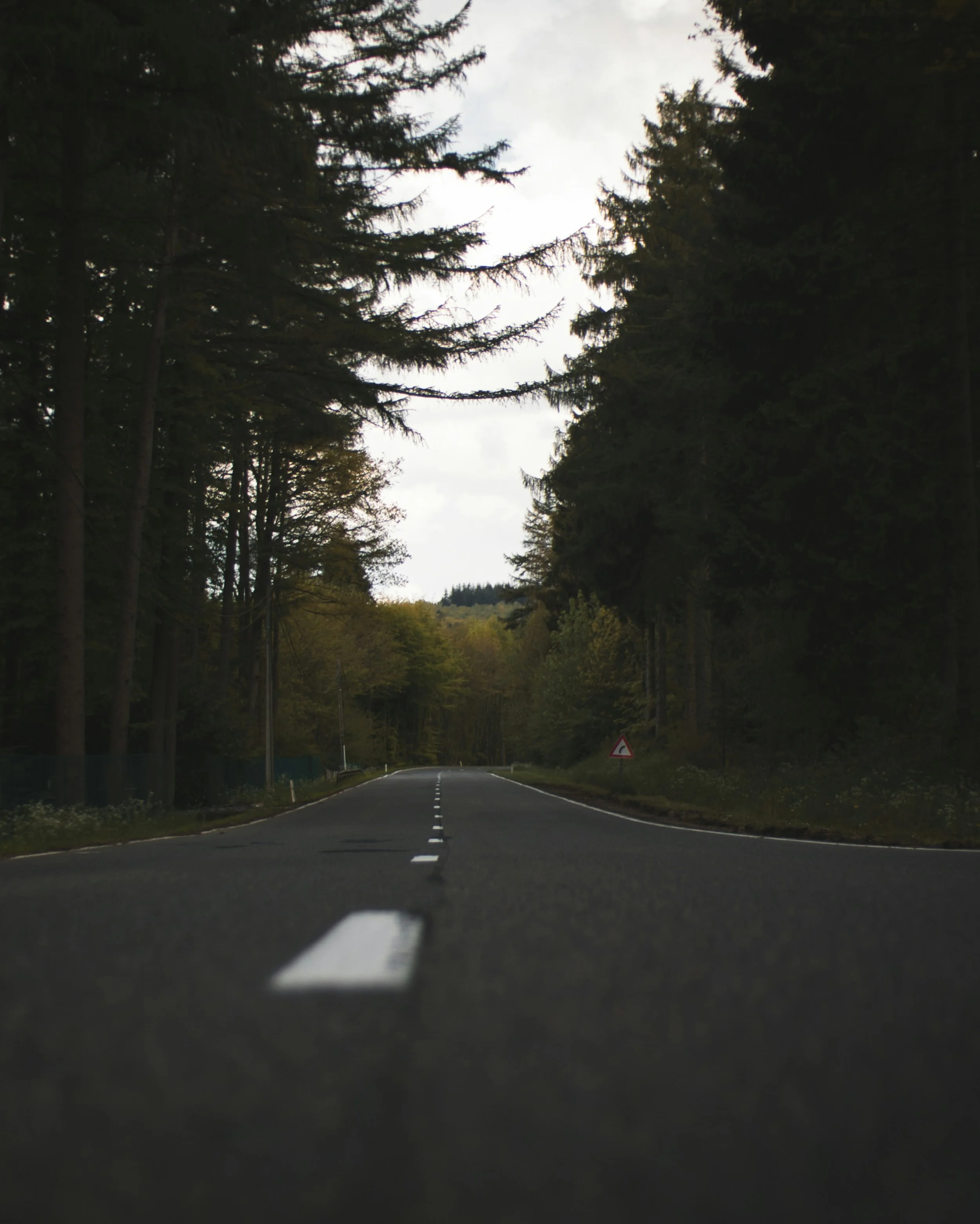 liam-martens-Y15M5wYgdYA-unsplash.jpg
