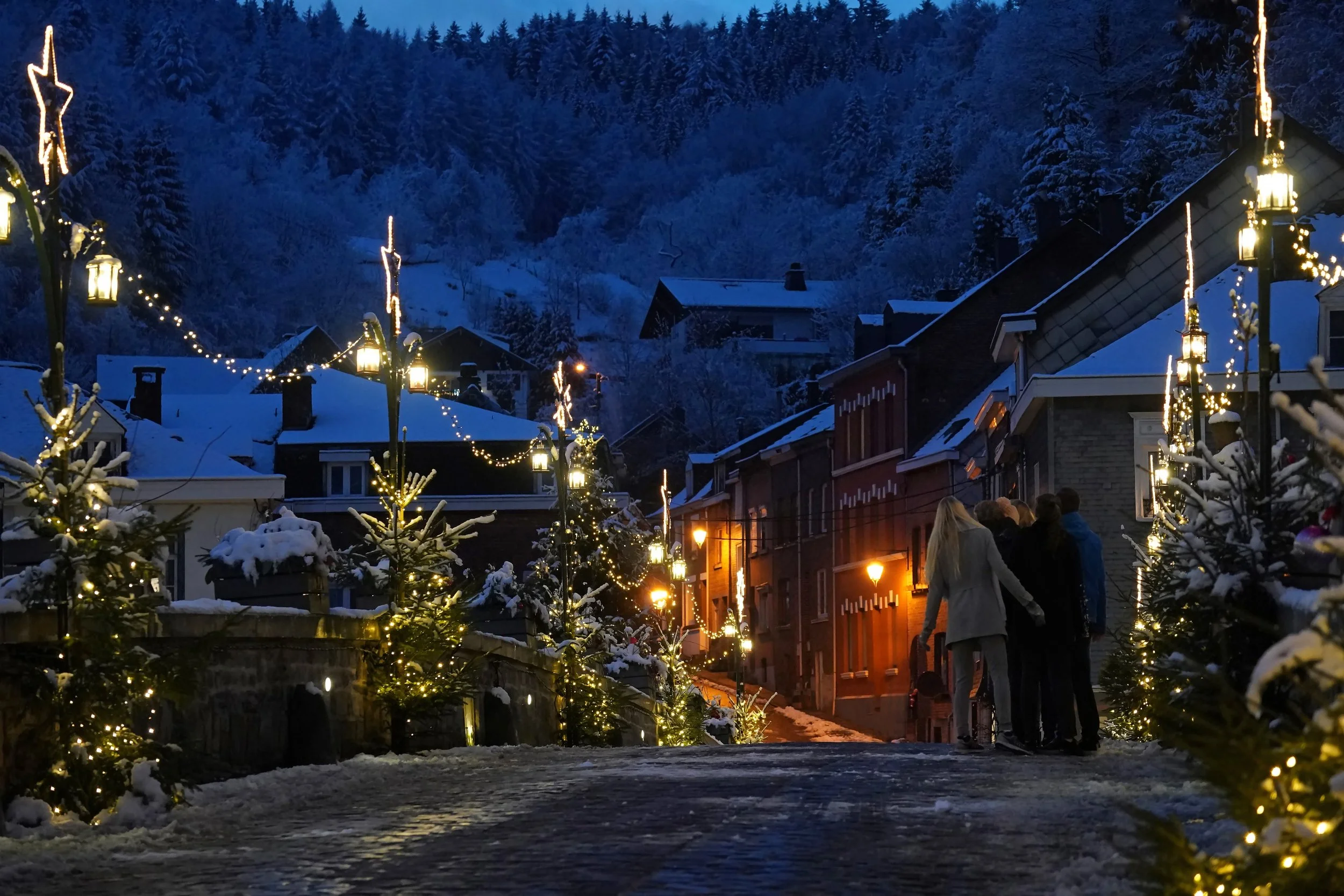 00011666-Arnaud Siquet-Malmedy sous la neige.JPEG