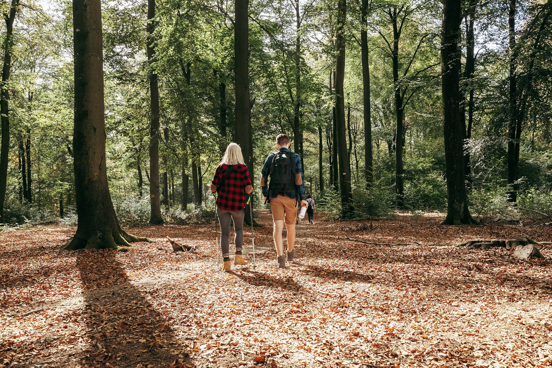000016046-WBT-Charlotte-Princen-Randonnee-dans-les-bois.jpg
